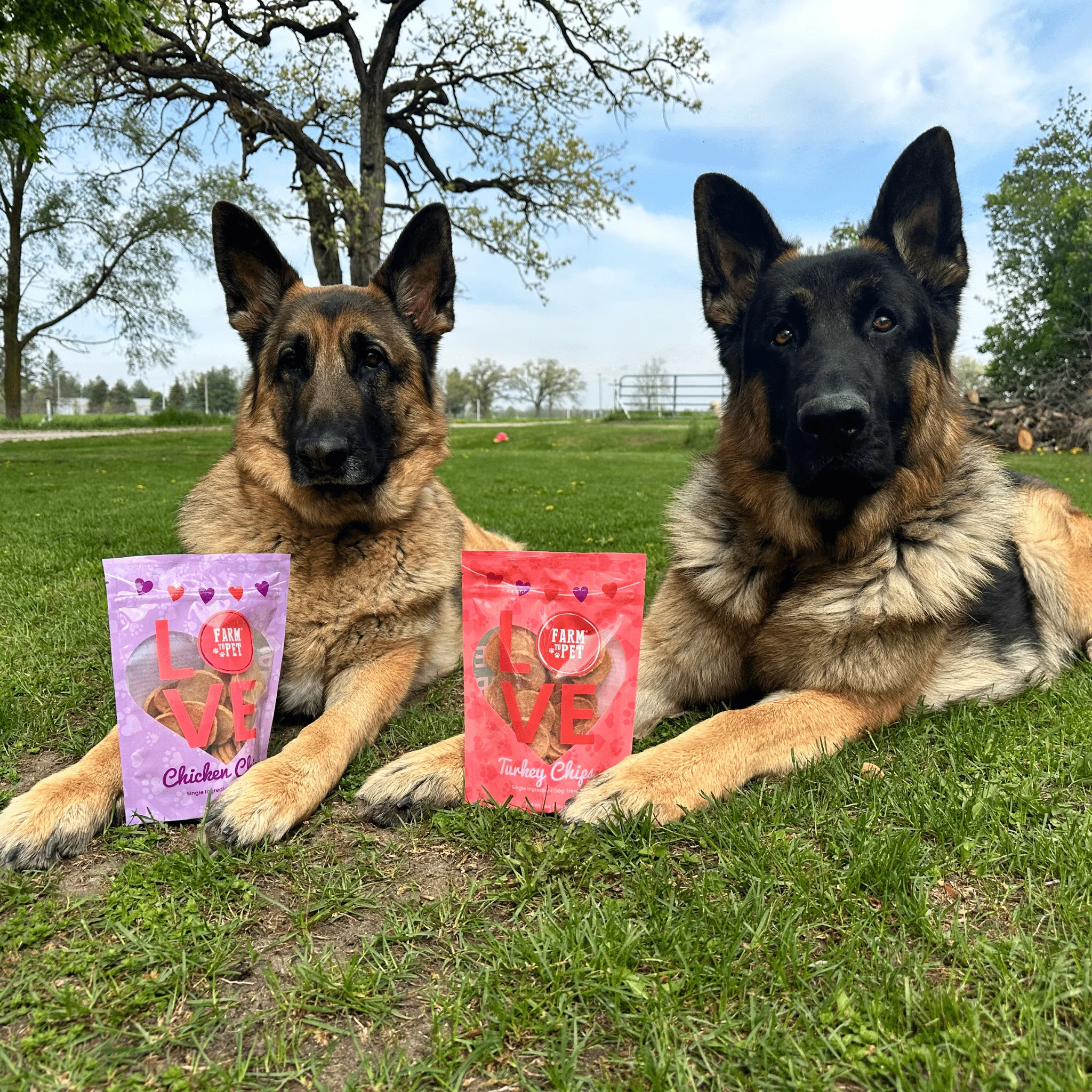 Puppy Love Dog Treat Duo | Poultry Chip Variety Pack - Image 3