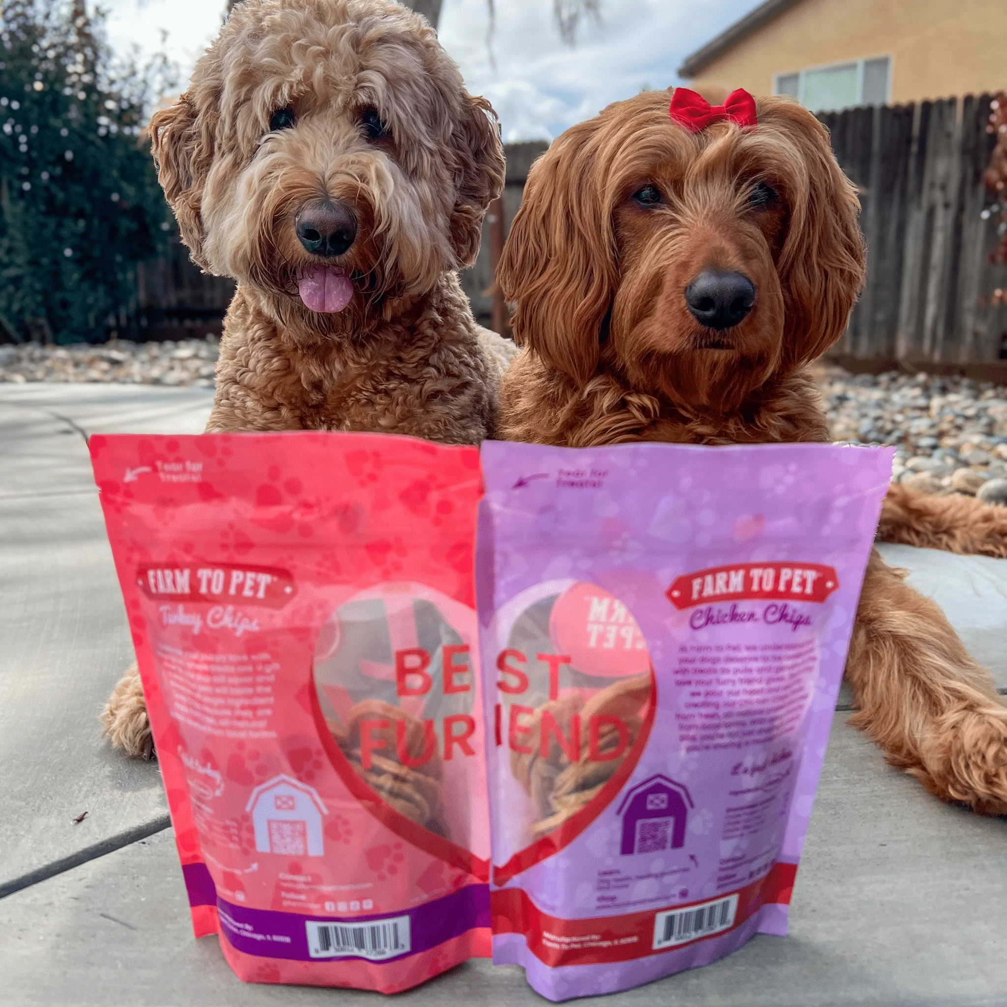 Puppy Love Dog Treat Duo | Poultry Chip Variety Pack - Image 4