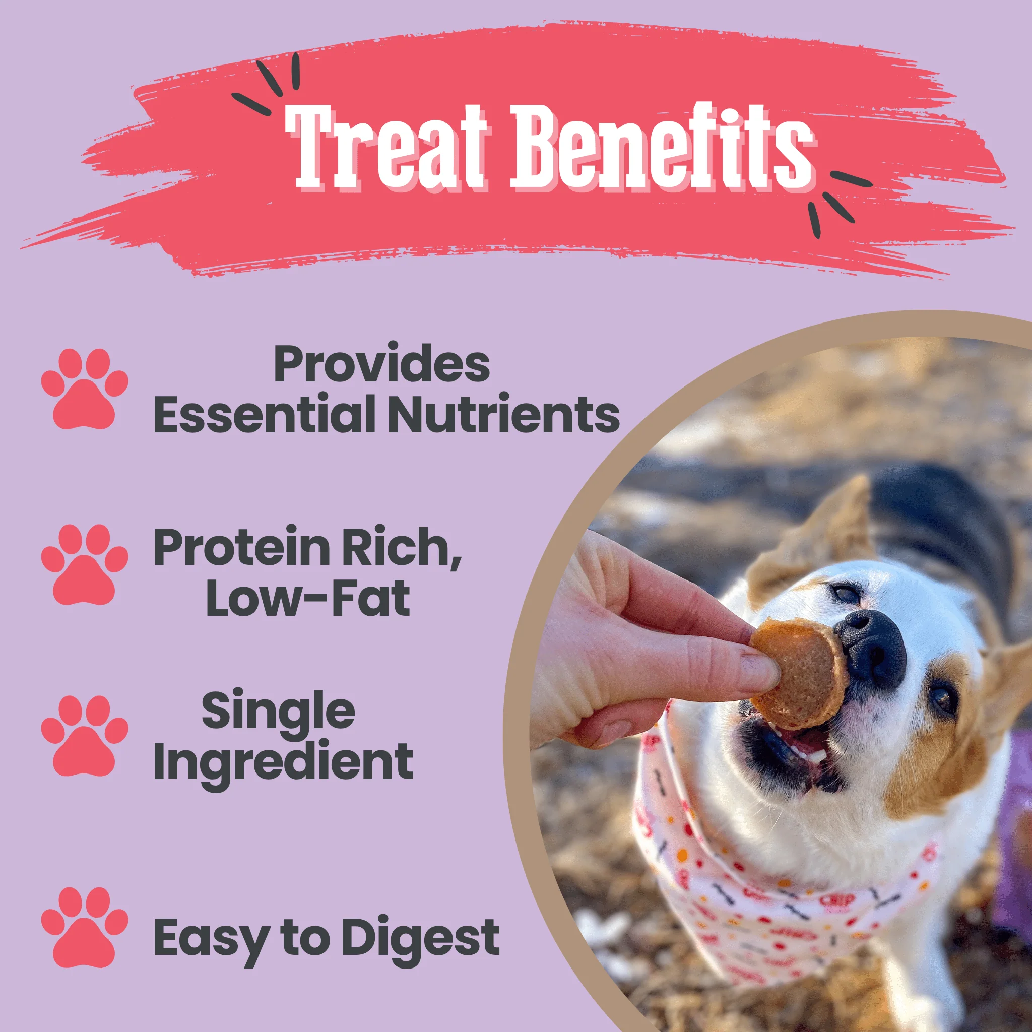 Puppy Love Dog Treat Duo | Poultry Chip Variety Pack - Image 6