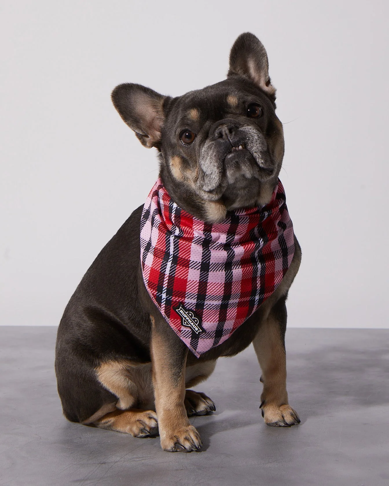 Puppy Love Plaid Cooling Bandana - Image 2