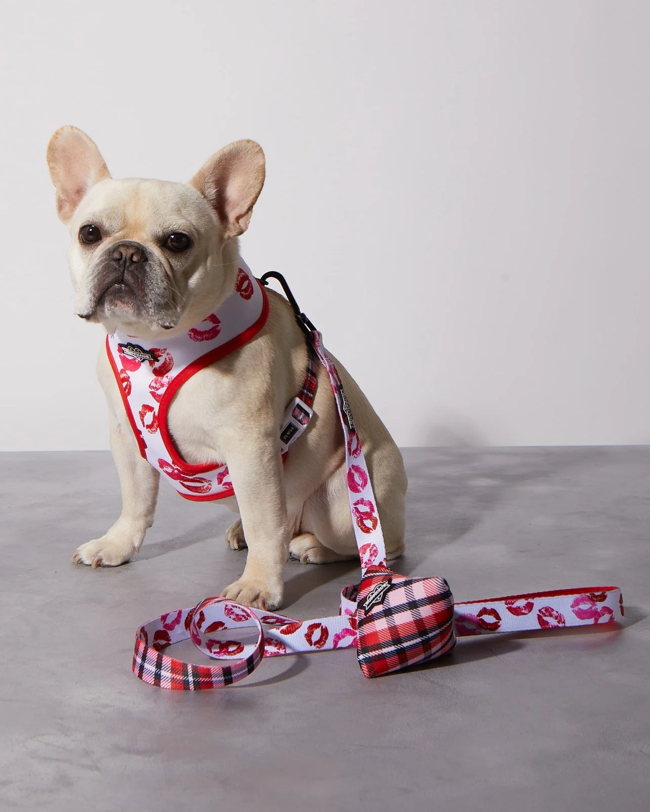 Puppy Love Plaid Poop Bag Holder - Image 3