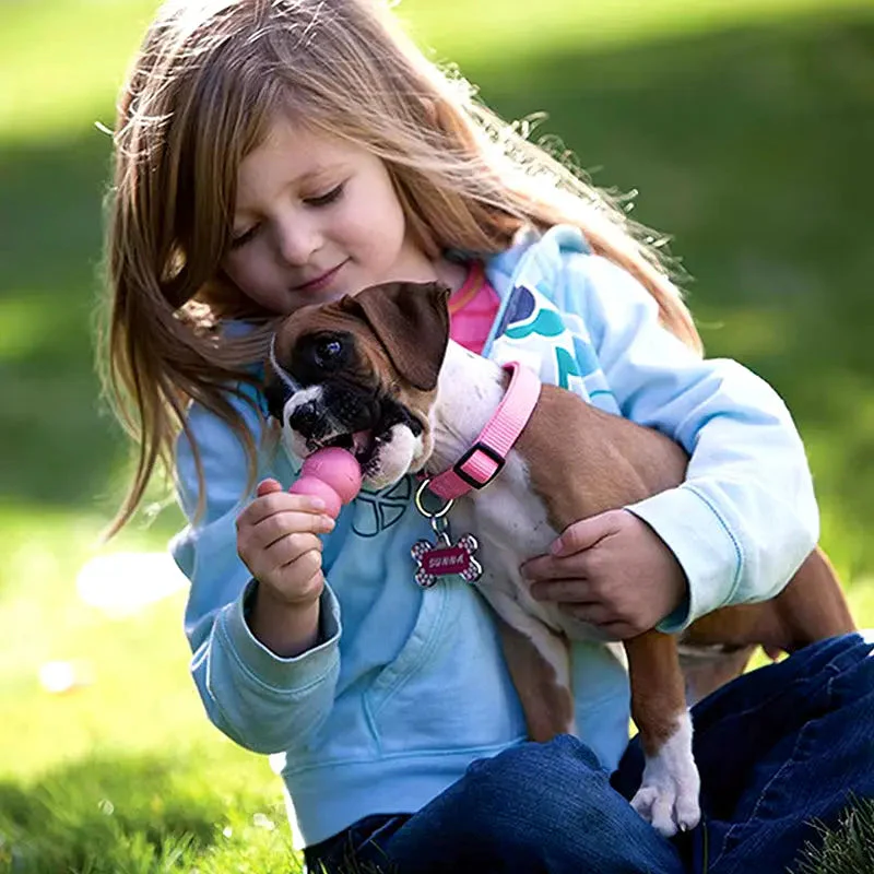 Puppy Natural Teething Rubber Dog Chew Toy with Your Choice of Dog Treat Toy XS-L - Image 5