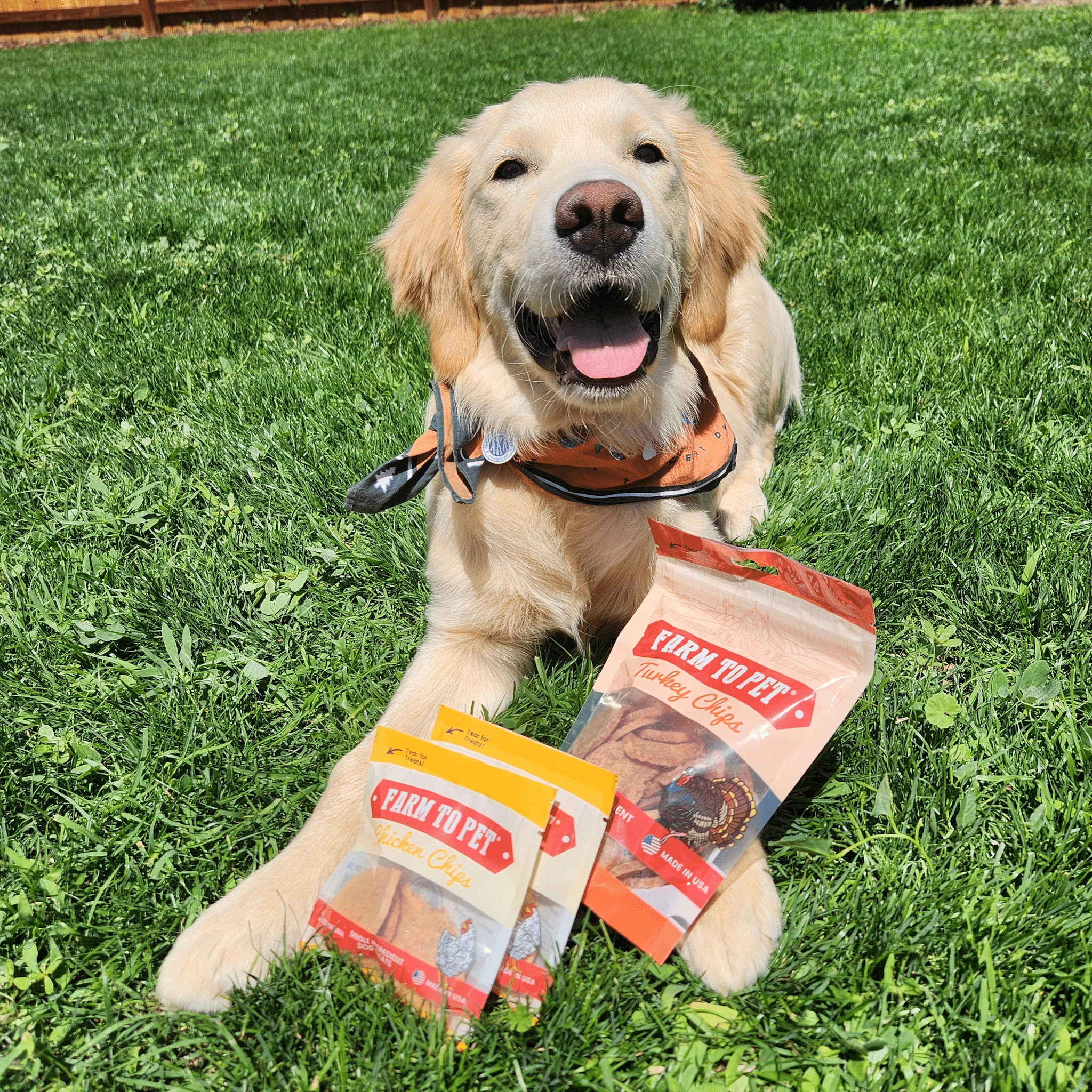 Puppy Packs 'n Snacks Dog Treat Starter Pack | Single-Ingredient Training Treats - Image 13