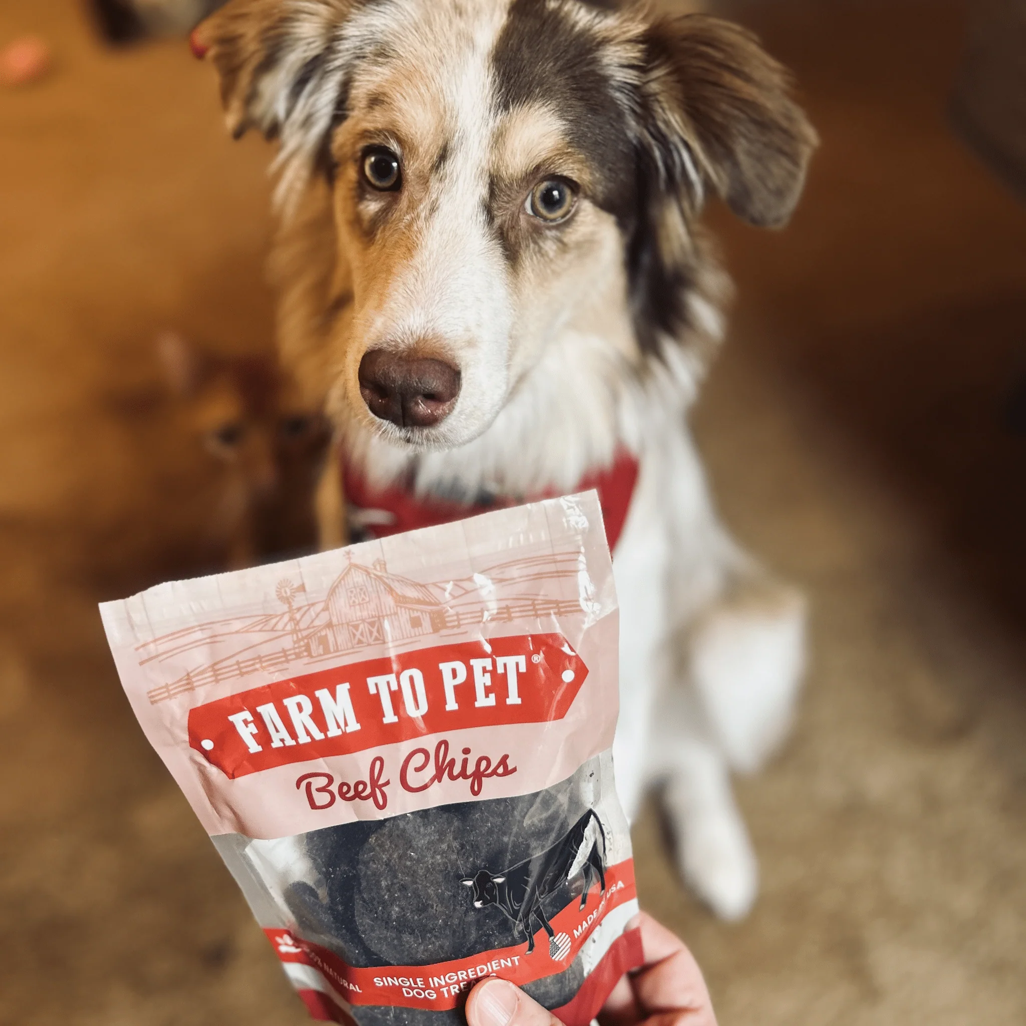 Puppy Packs 'n Snacks Dog Treat Starter Pack | Single-Ingredient Training Treats - Image 15