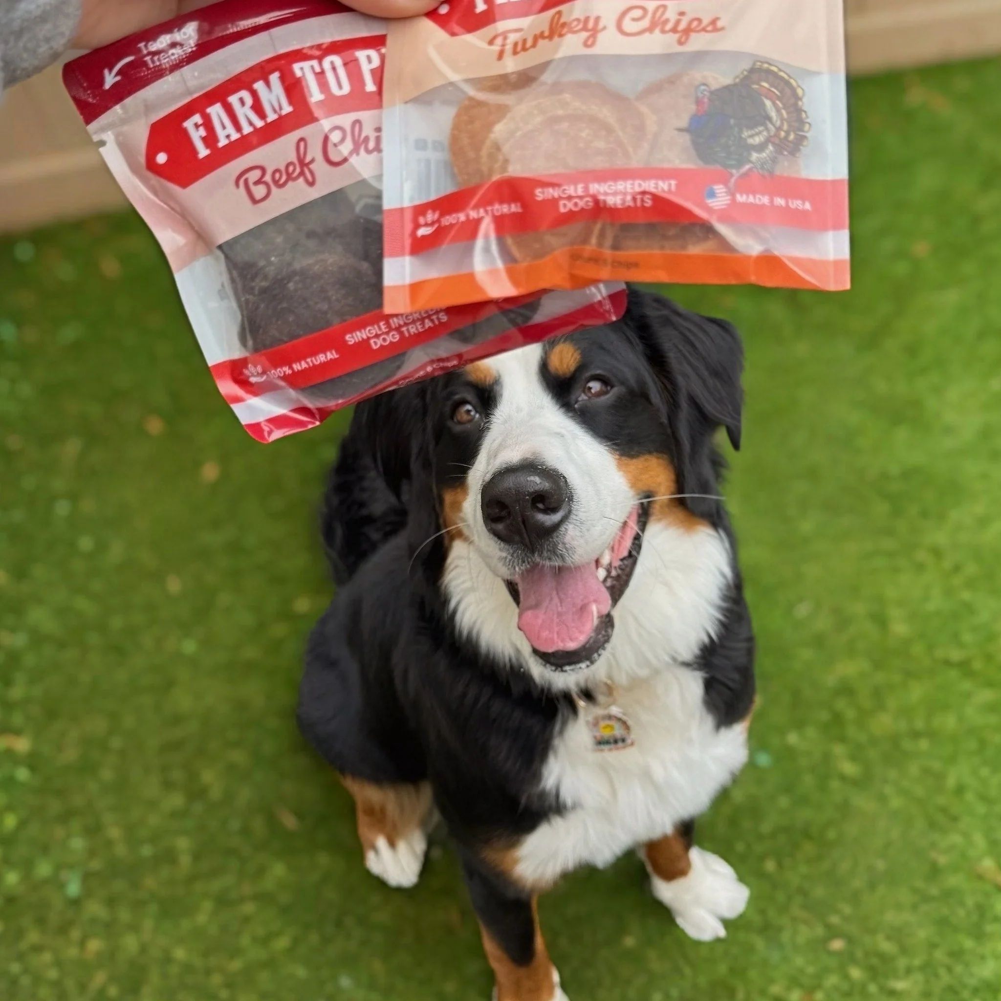 Puppy Packs 'n Snacks Dog Treat Starter Pack | Single-Ingredient Training Treats - Image 16