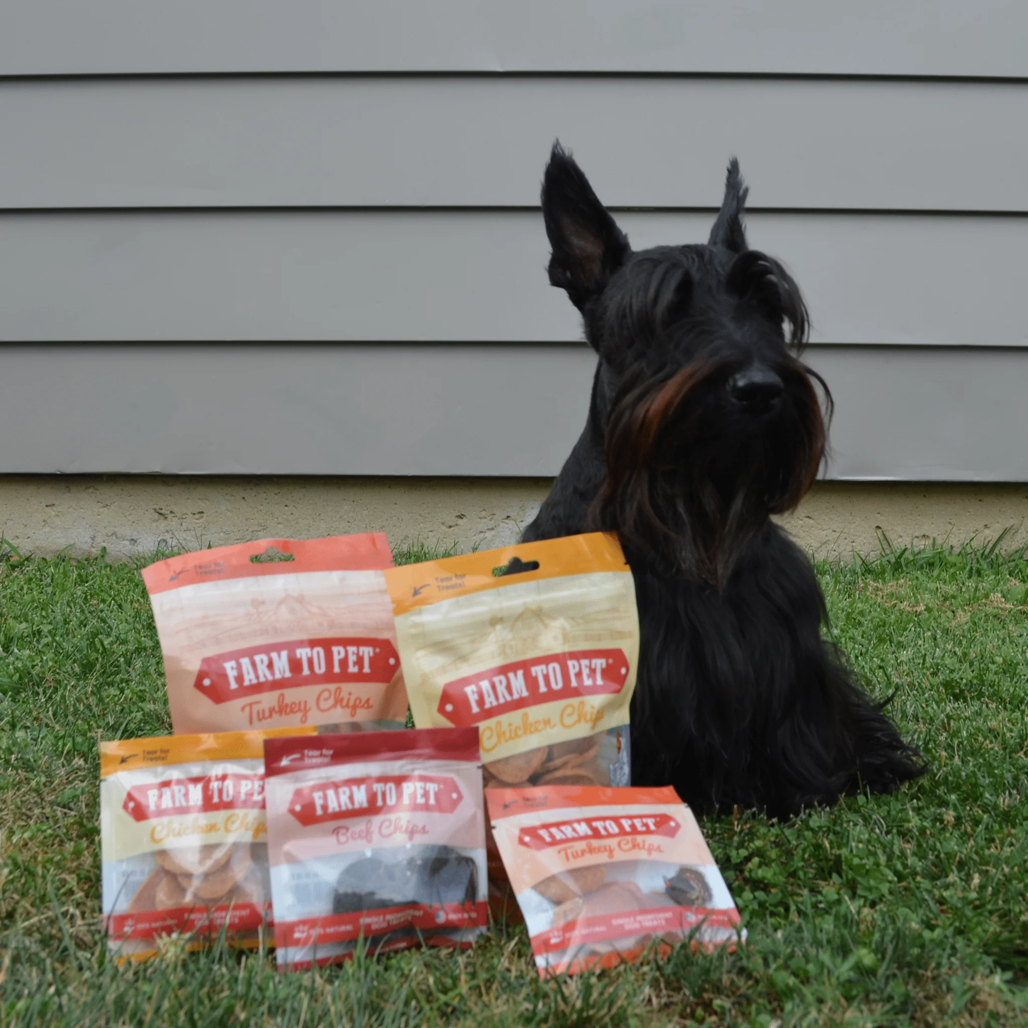 Puppy Packs 'n Snacks Dog Treat Starter Pack | Single-Ingredient Training Treats - Image 17
