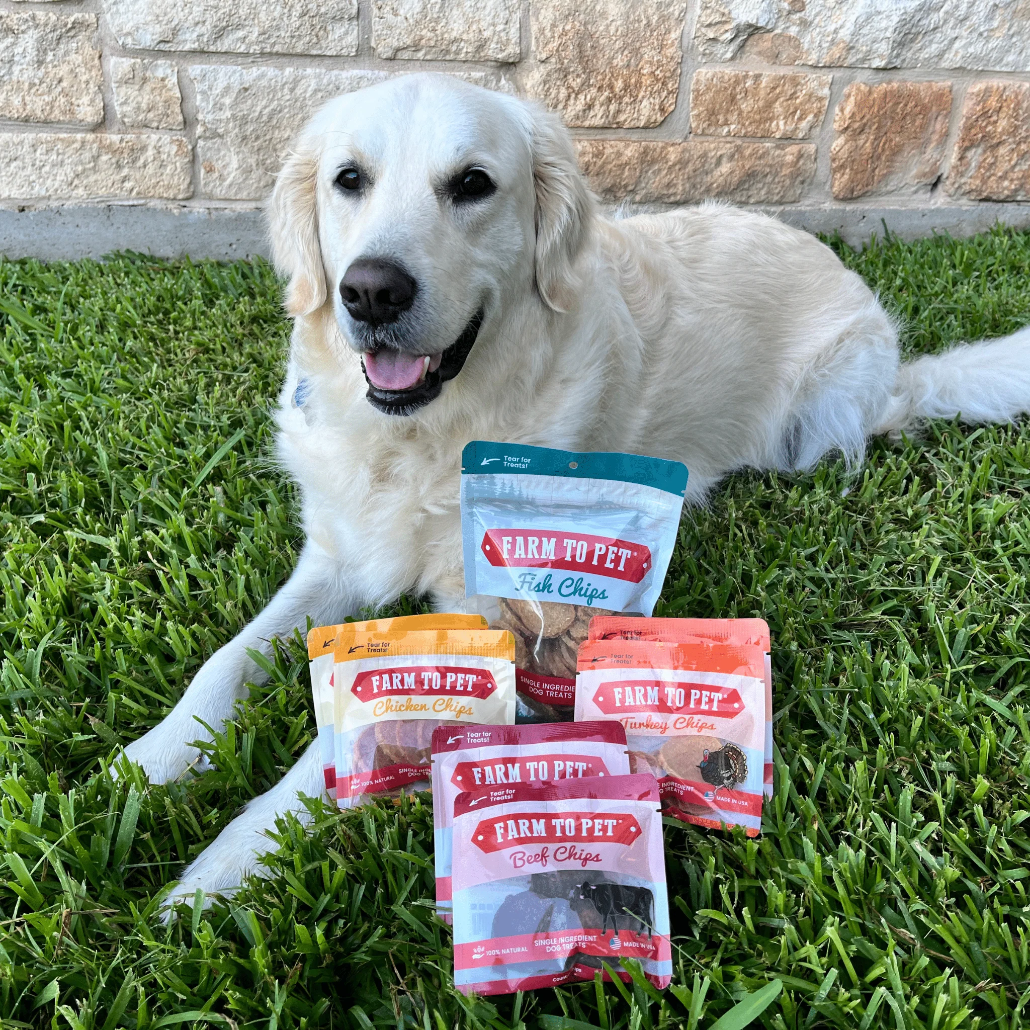 Puppy Packs 'n Snacks Dog Treat Starter Pack | Single-Ingredient Training Treats - Image 19