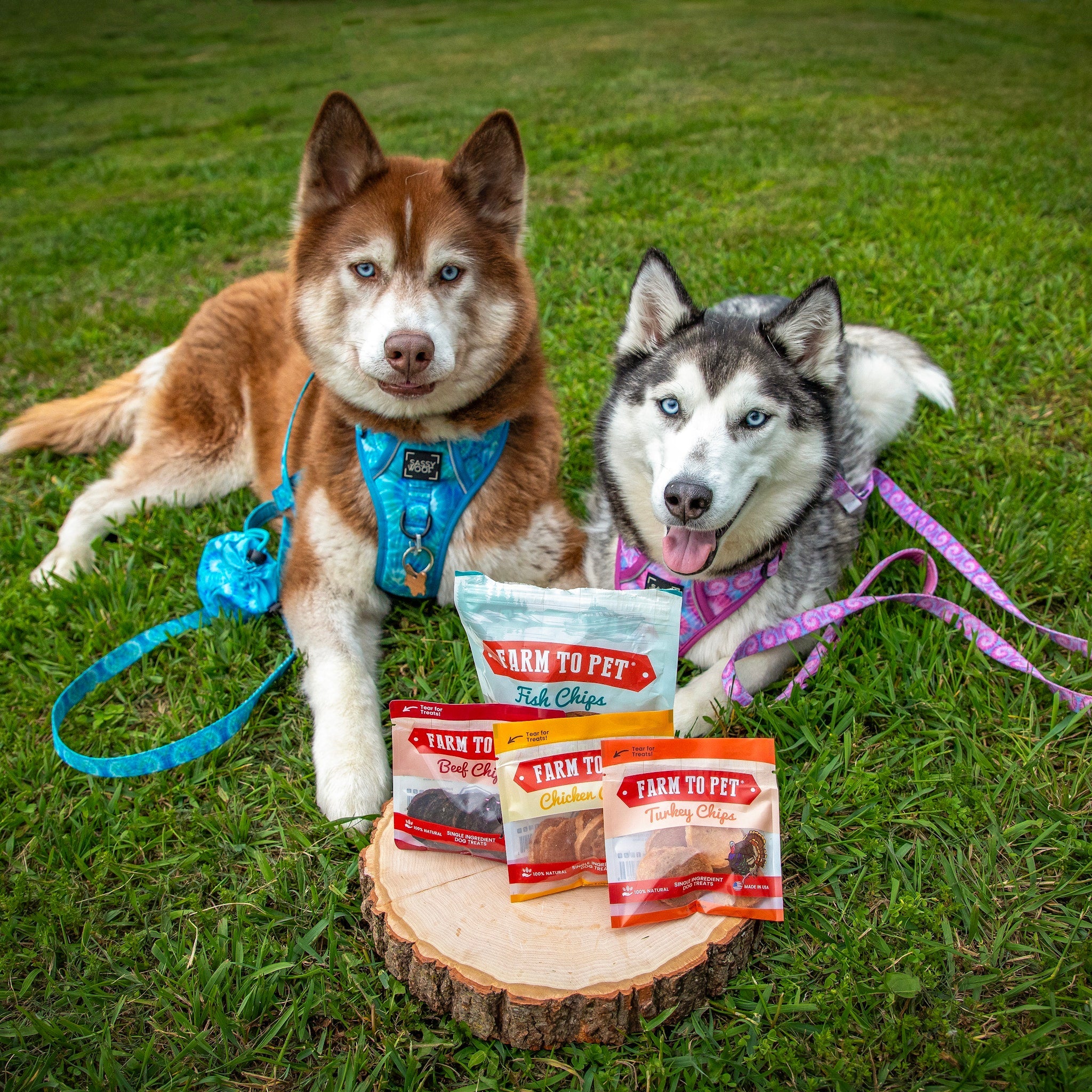 Puppy Packs 'n Snacks Dog Treat Starter Pack | Single-Ingredient Training Treats - Image 20