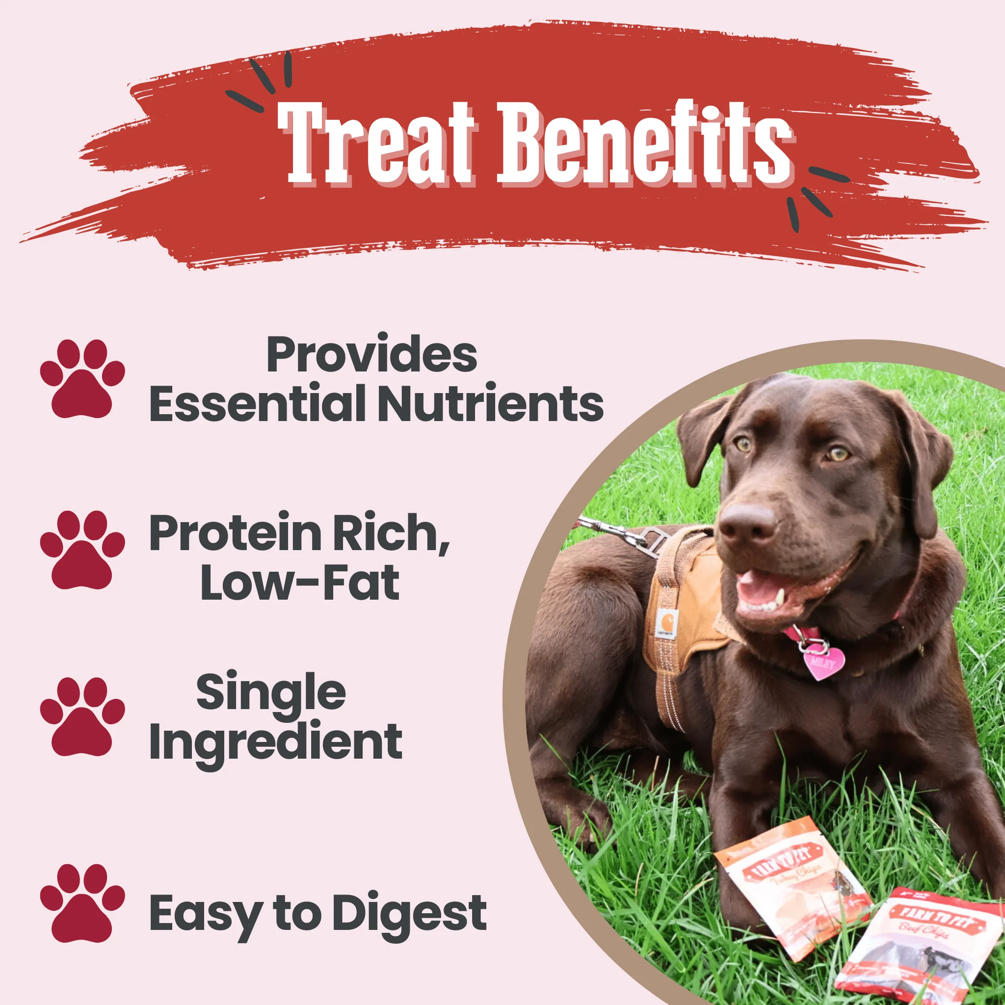 Puppy Packs 'n Snacks Dog Treat Starter Pack | Single-Ingredient Training Treats - Image 22