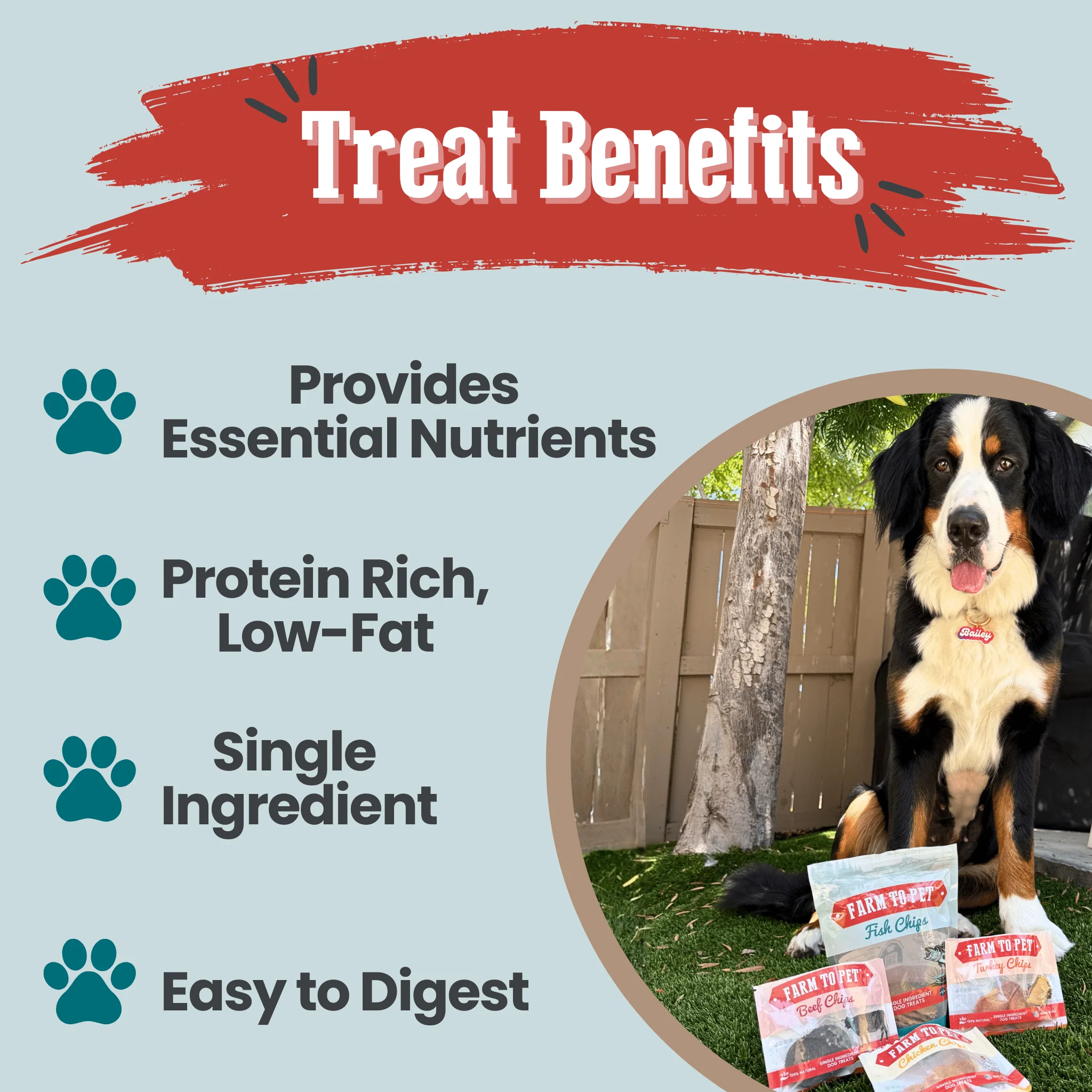 Puppy Packs 'n Snacks Dog Treat Starter Pack | Single-Ingredient Training Treats - Image 24