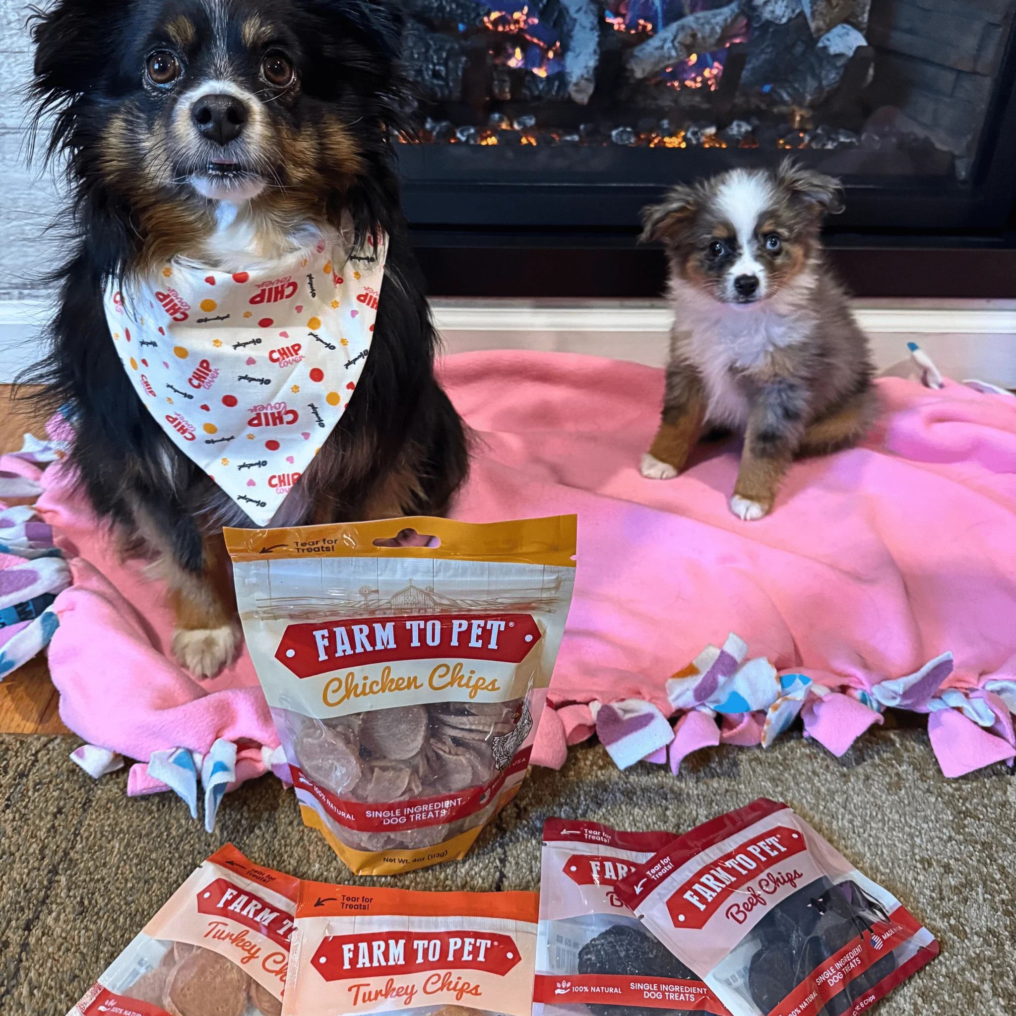 Puppy Packs 'n Snacks Dog Treat Starter Pack | Single-Ingredient Training Treats - Image 3