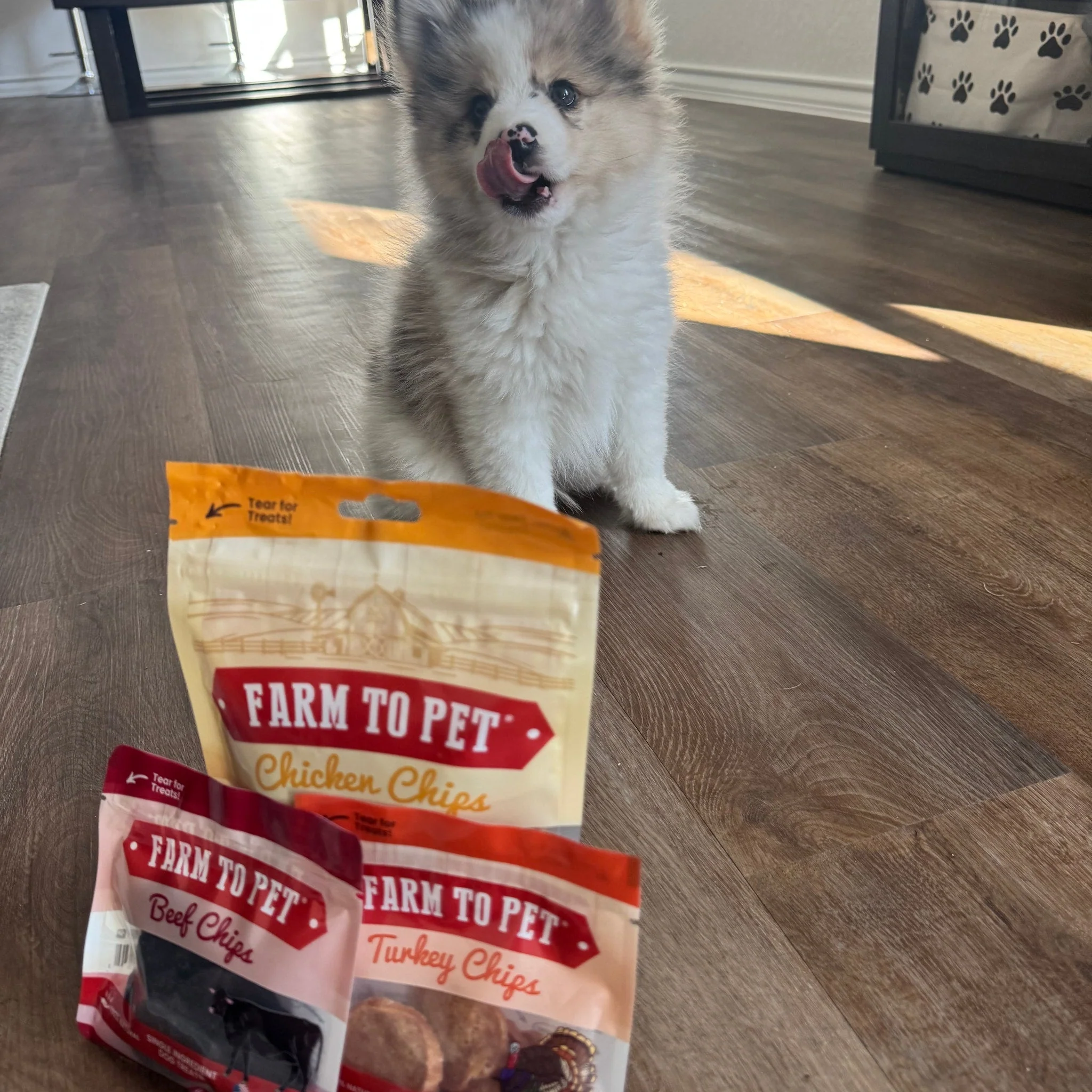 Puppy Packs 'n Snacks Dog Treat Starter Pack | Single-Ingredient Training Treats - Image 4