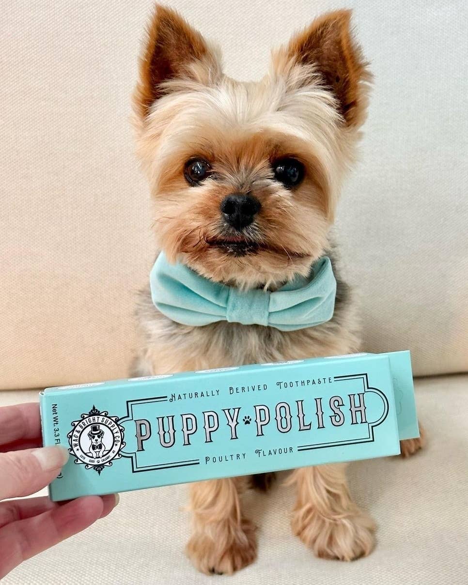 Puppy Polish Toothpaste - Filet Mignon (Beef) - Image 13