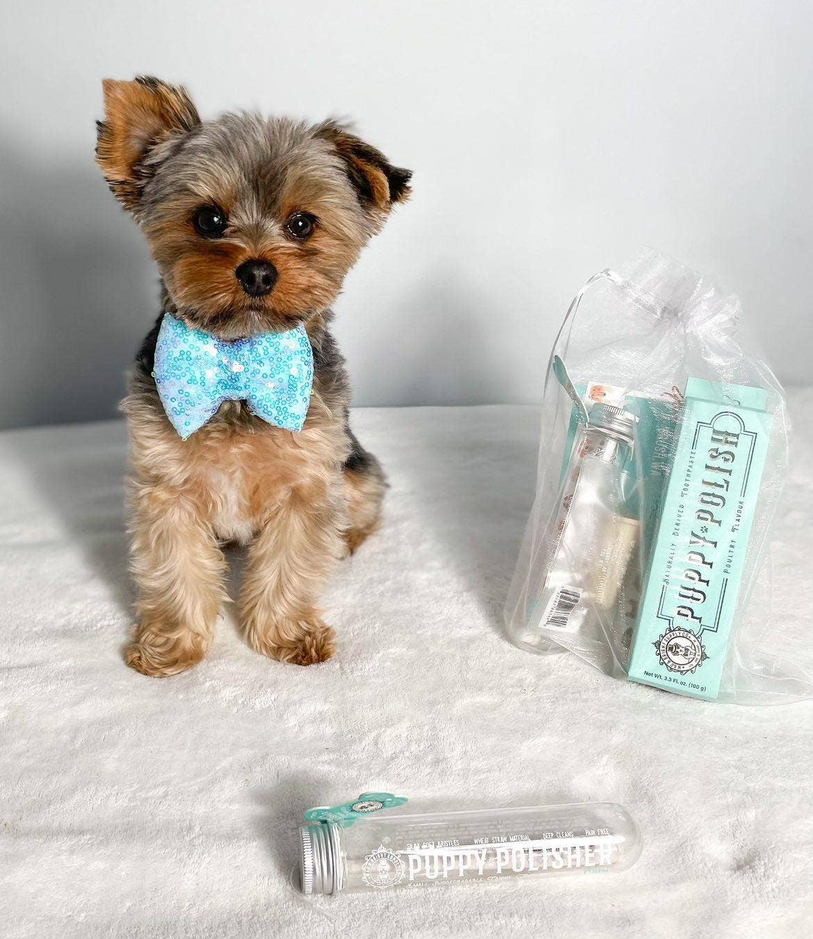 Puppy Polish Toothpaste - Filet Mignon (Beef) - Image 19