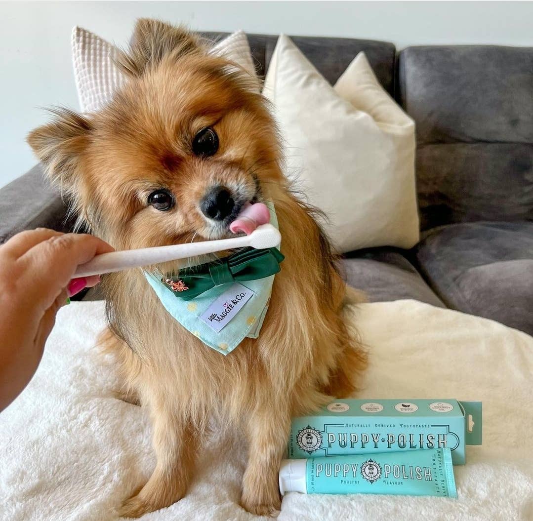 Puppy Polish Toothpaste - Filet Mignon (Beef) - Image 25