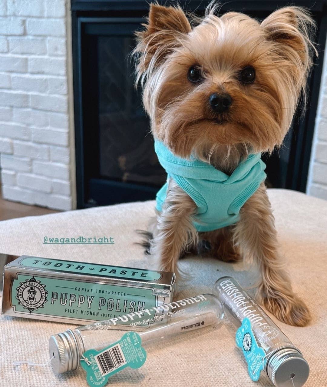 Puppy Polish Toothpaste - Filet Mignon (Beef) - Image 6