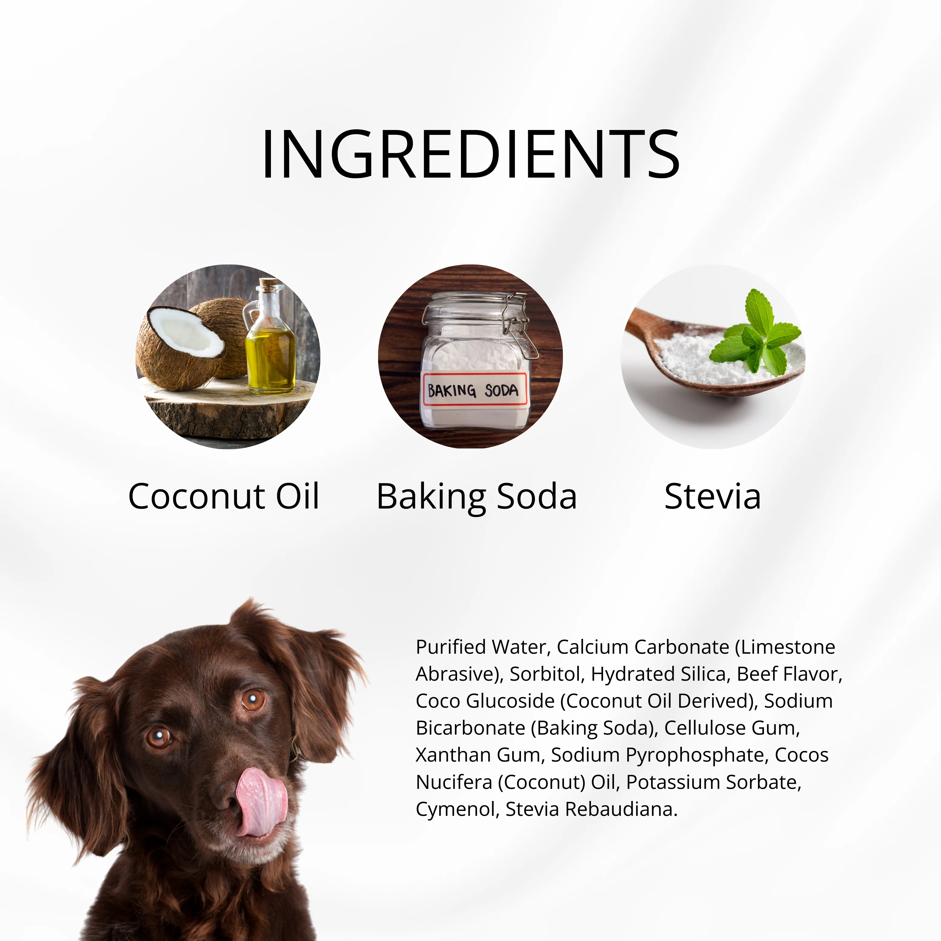 Puppy Polish Toothpaste - Filet Mignon (Beef) - Image 7