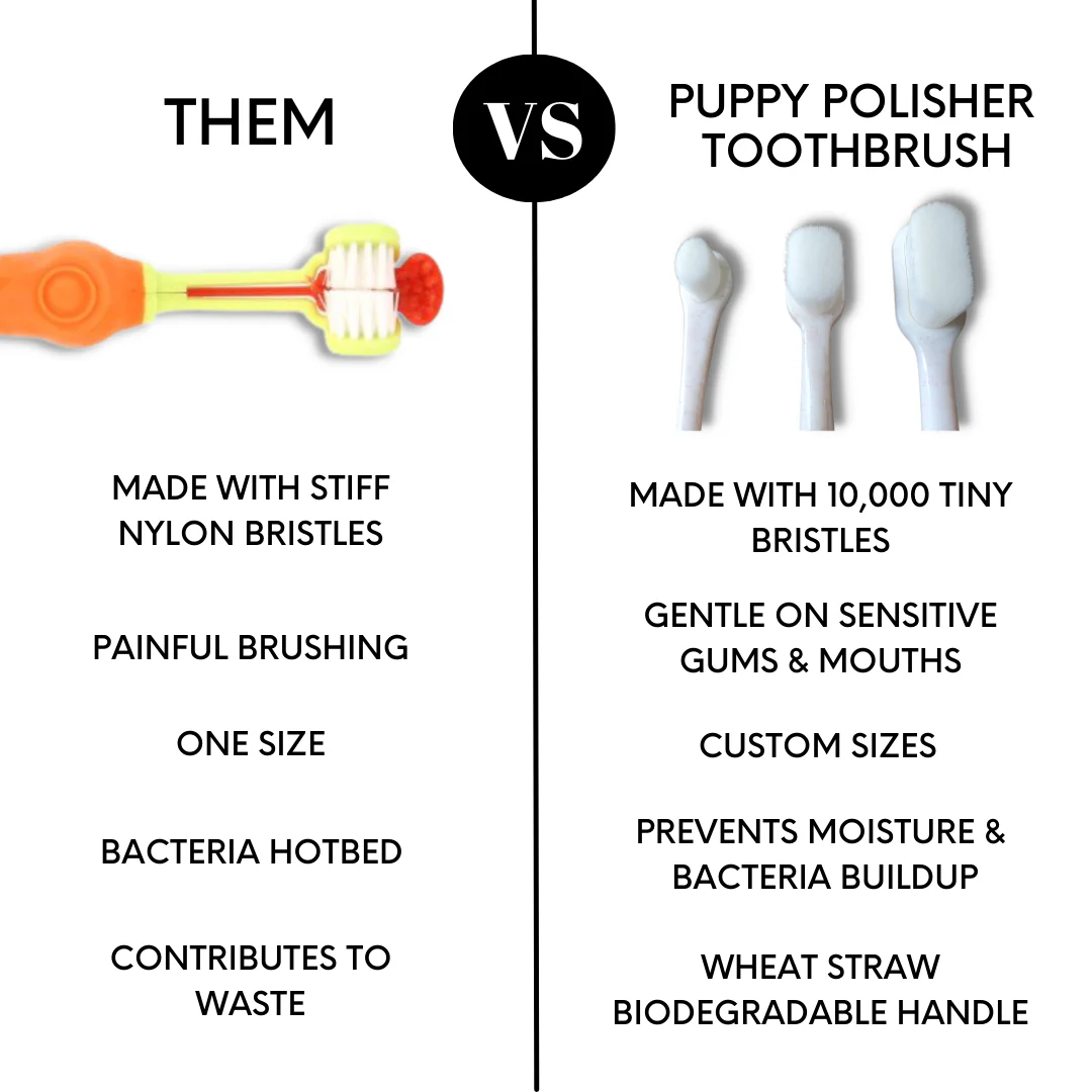 Puppy Polisher Eco Toothbrush - (Medium) - Image 18