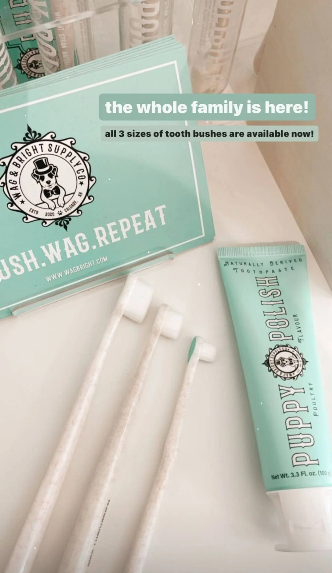 Puppy Polisher Eco Toothbrush - (Medium) - Image 21