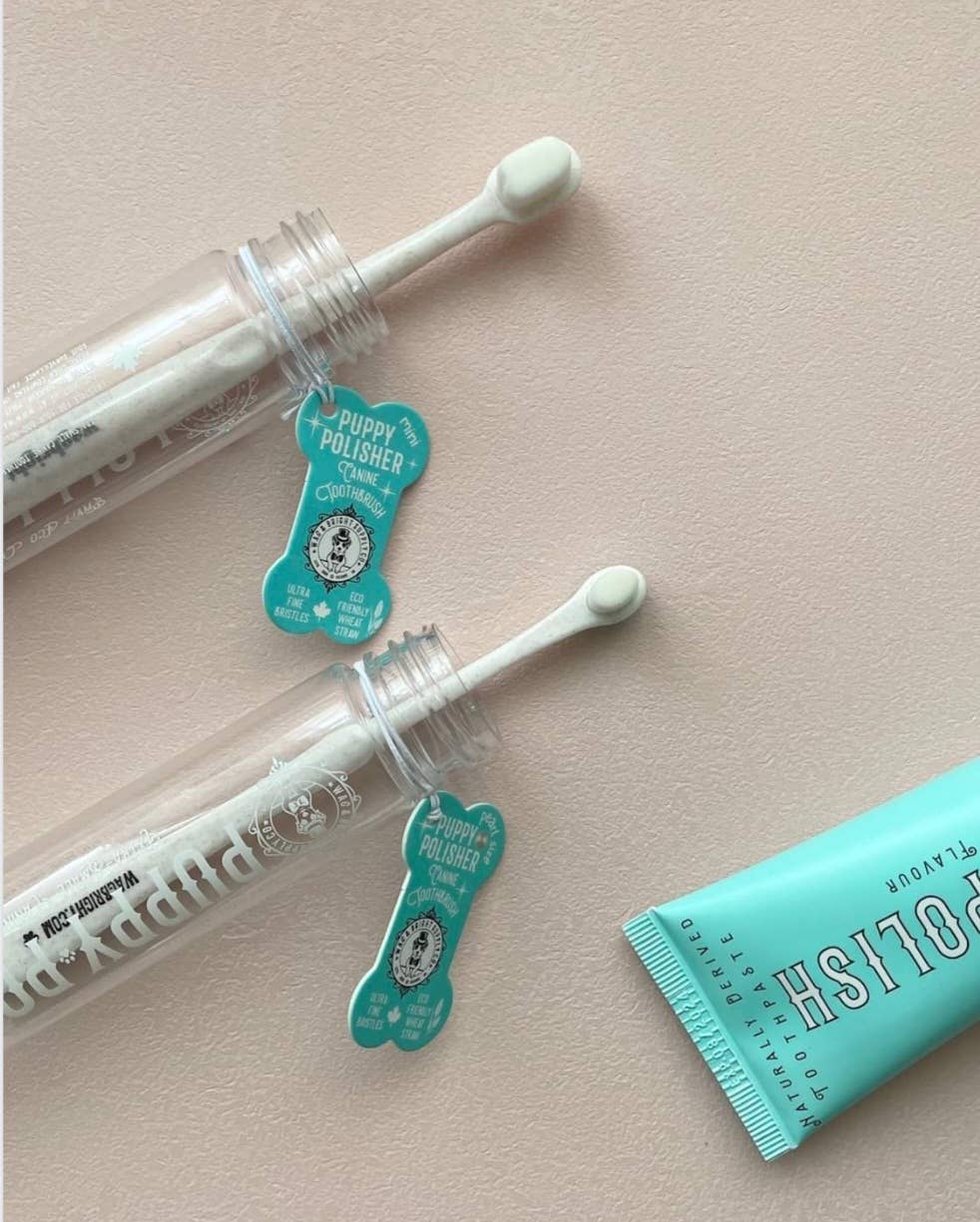 Puppy Polisher Eco Toothbrush - (Medium) - Image 4