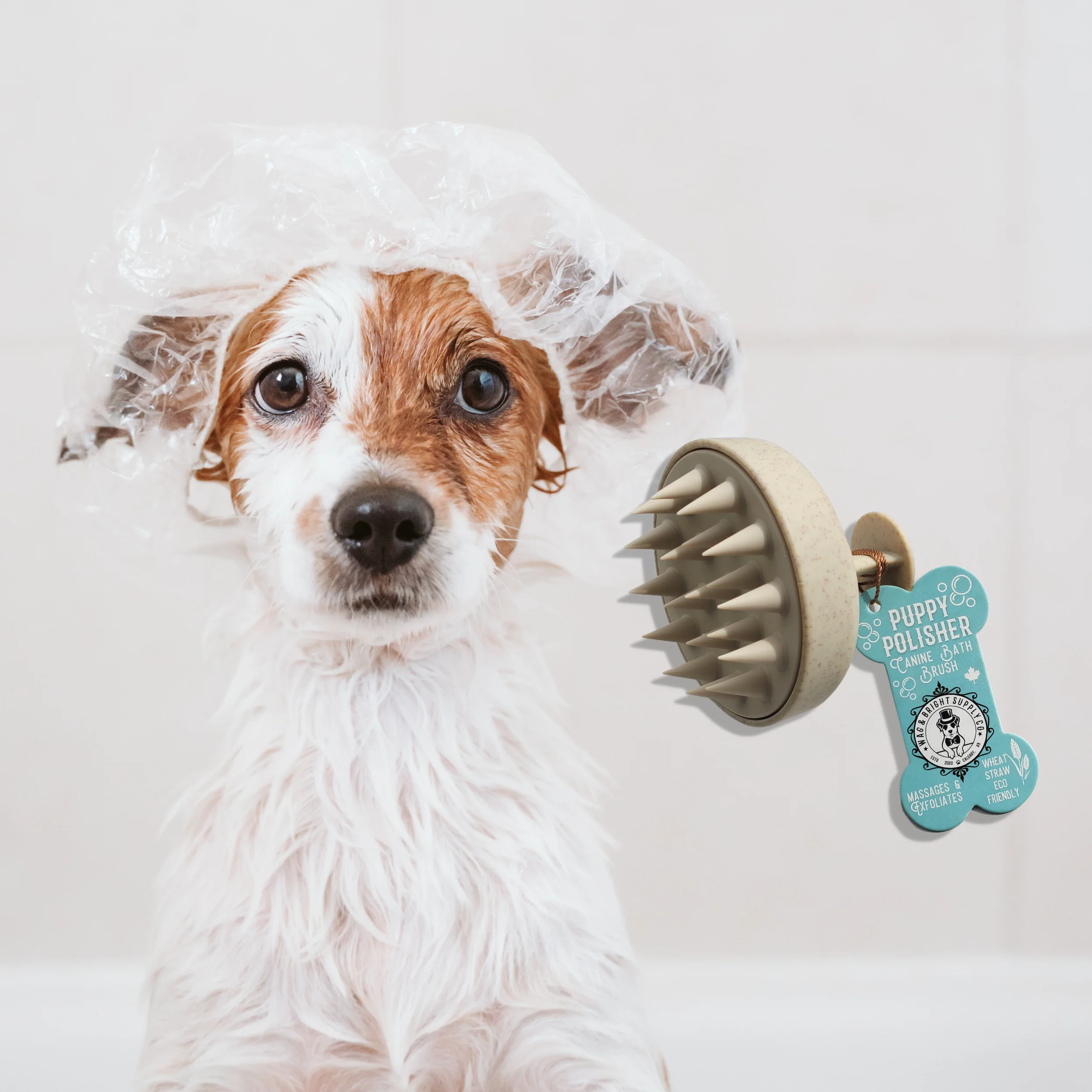Puppy Polisher Shampoo Brush - Image 6
