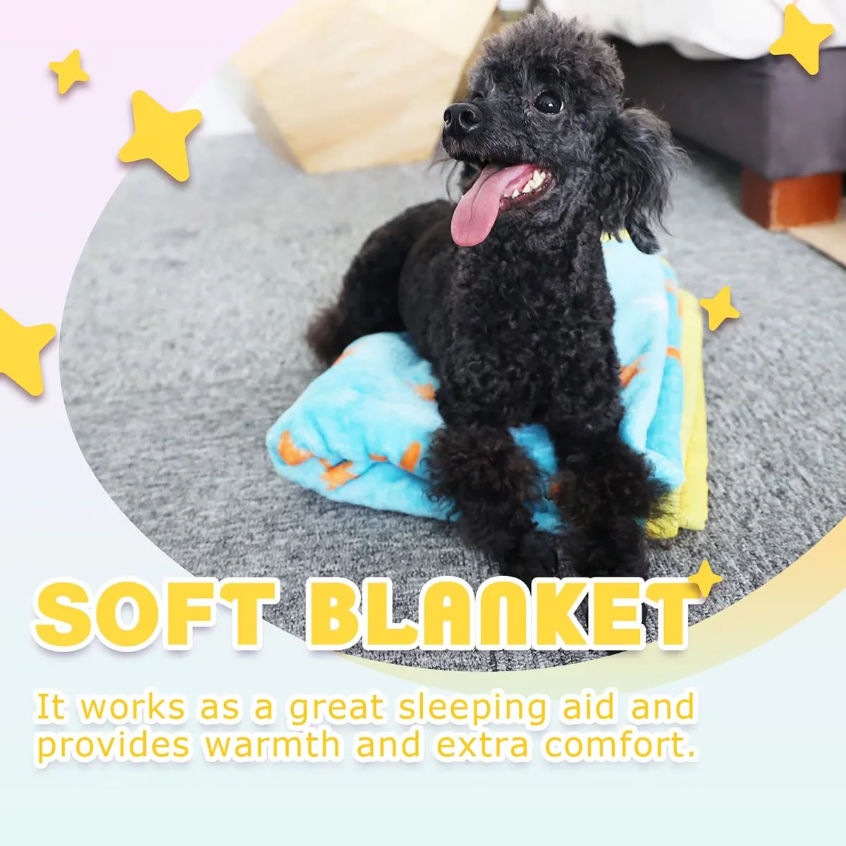 Pups - New Puppy Starter Kit - Image 4