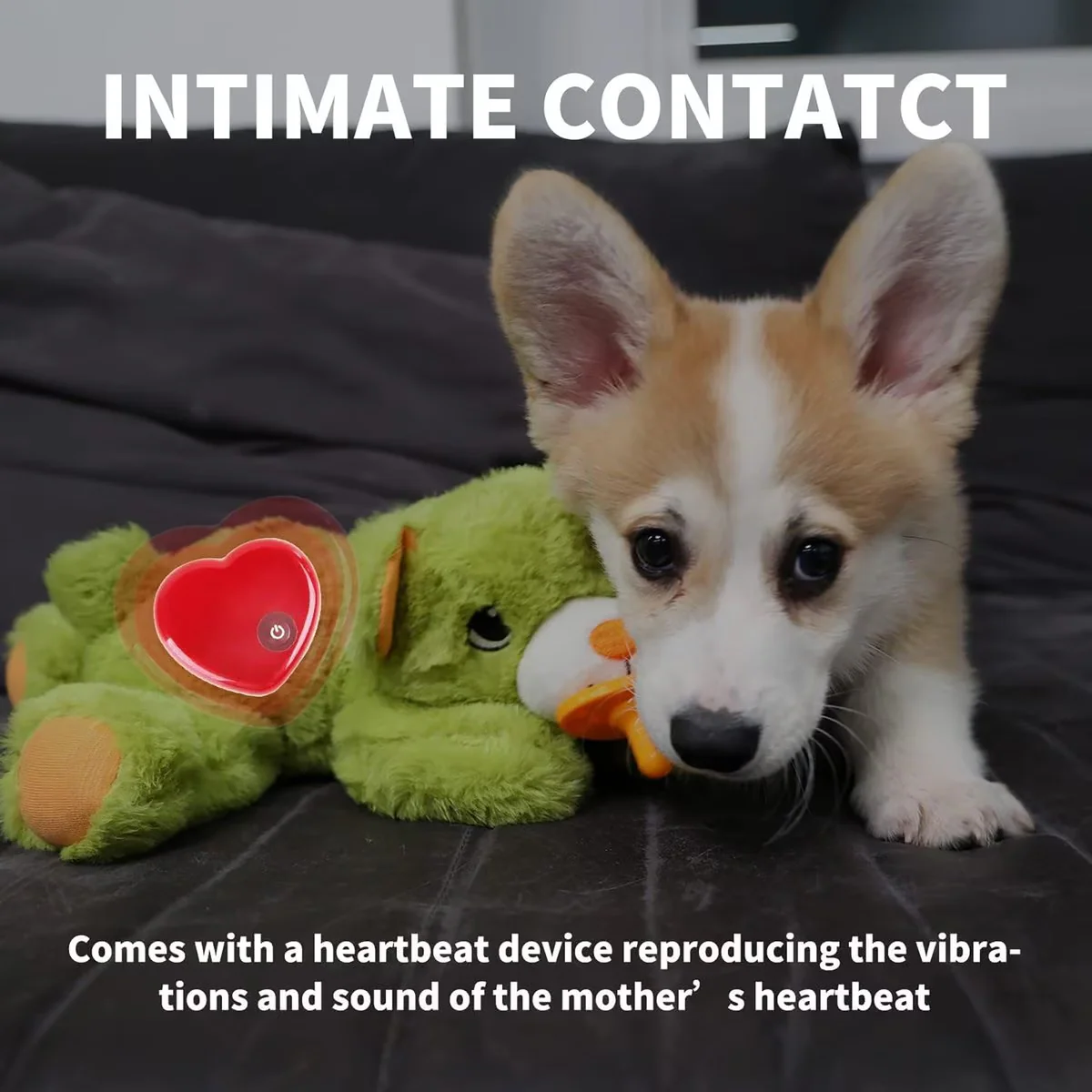 Pups- Puppy Soothing Heartbeat Warm Bear Comfort Dog Sleep Aid Plush Toy - Pacifier Buddy - Image 3