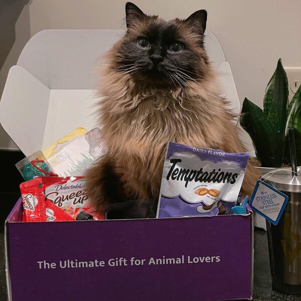 Purfect Cat Gift Box - Image 7