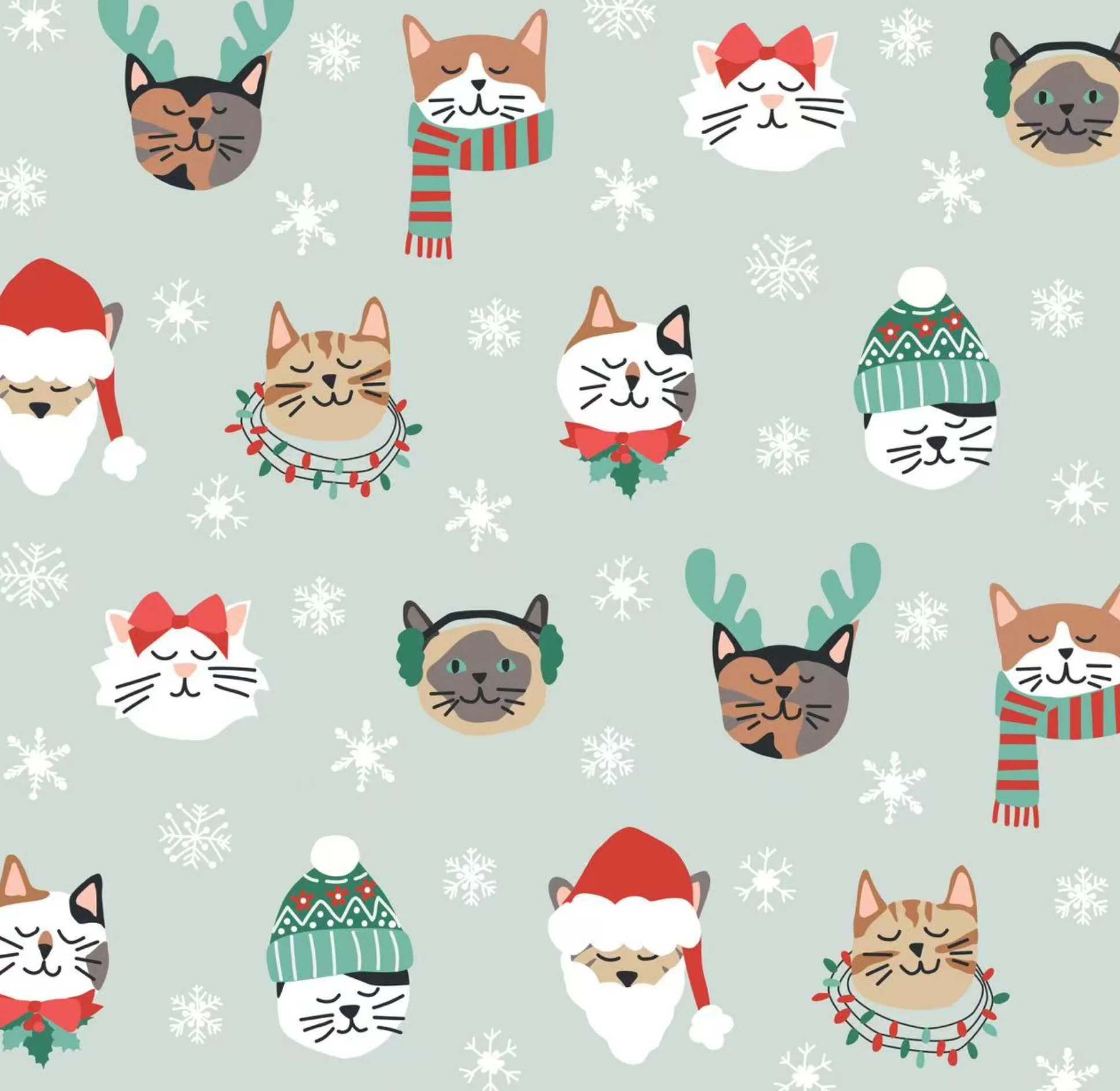 Purr The Halls (Knotted Hat) - Image 2