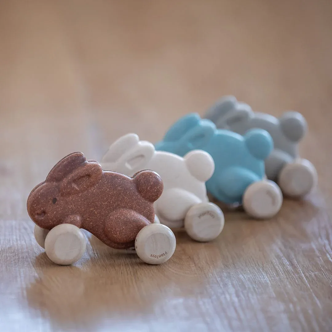 Push Along Bunny - Brown - Image 2