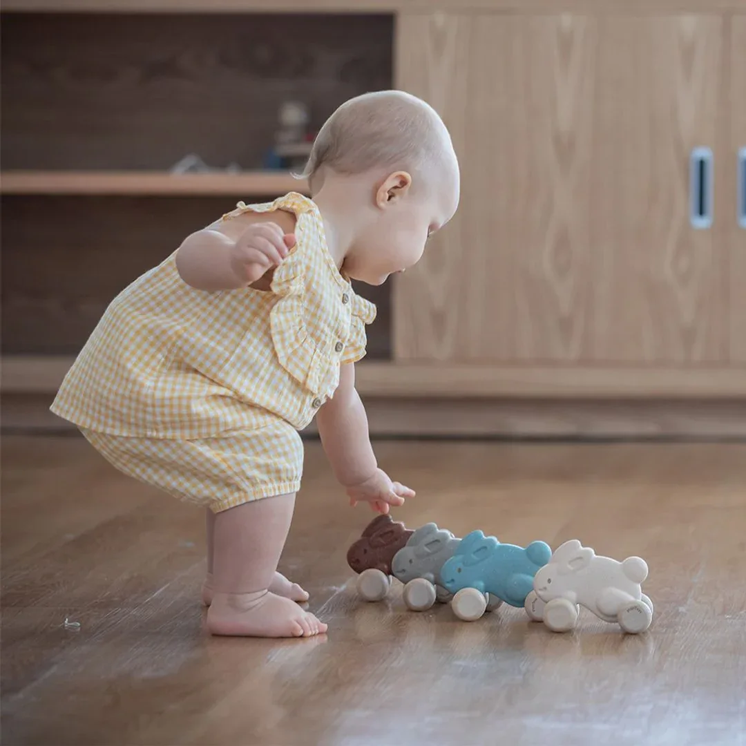 Push Along Bunny - Brown - Image 6