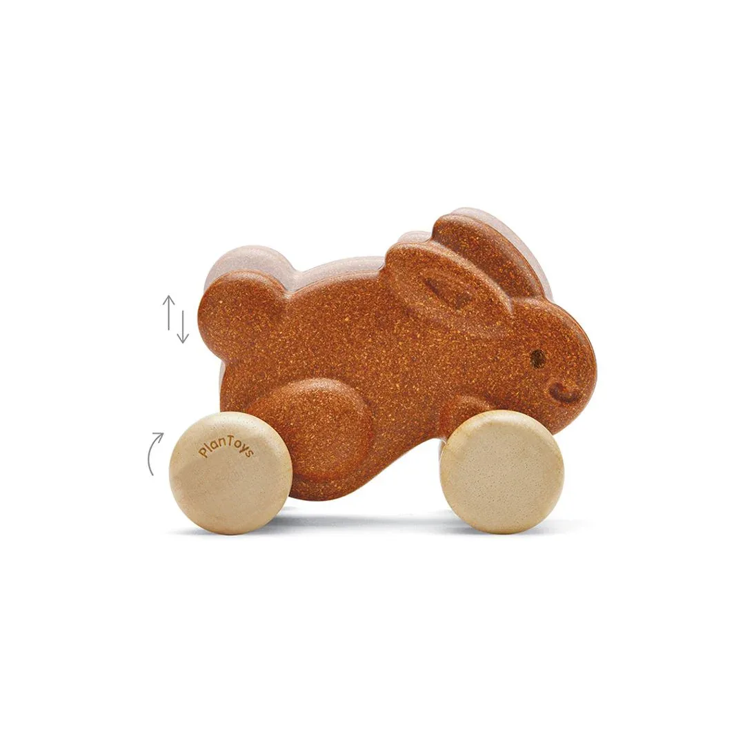 Push Along Bunny - Brown - Image 8