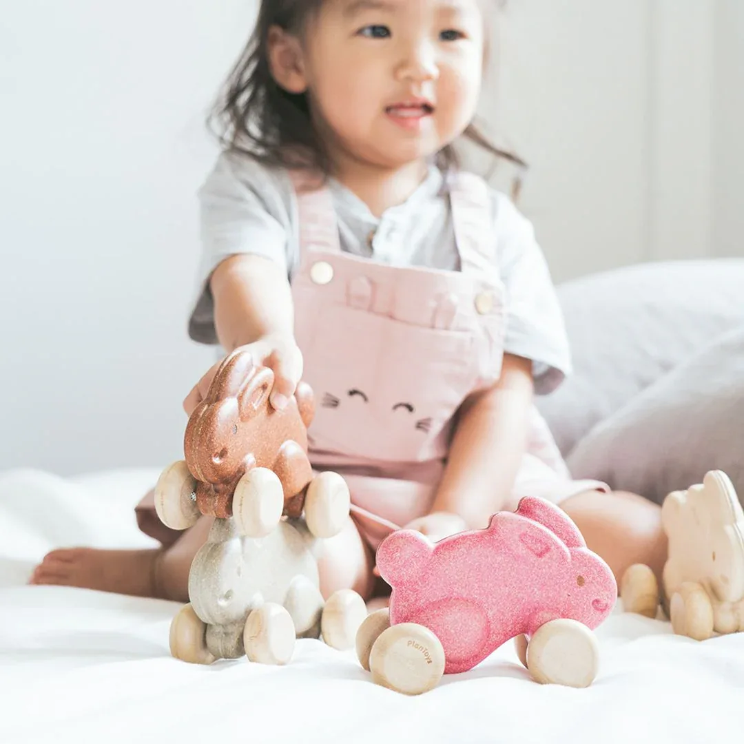 Push Along Bunny - Grey - Image 5