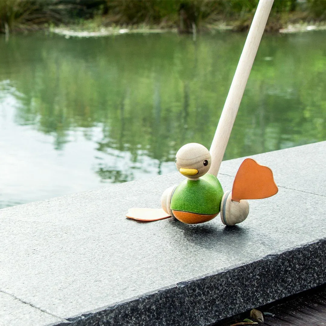 Push Along Duck - Image 2