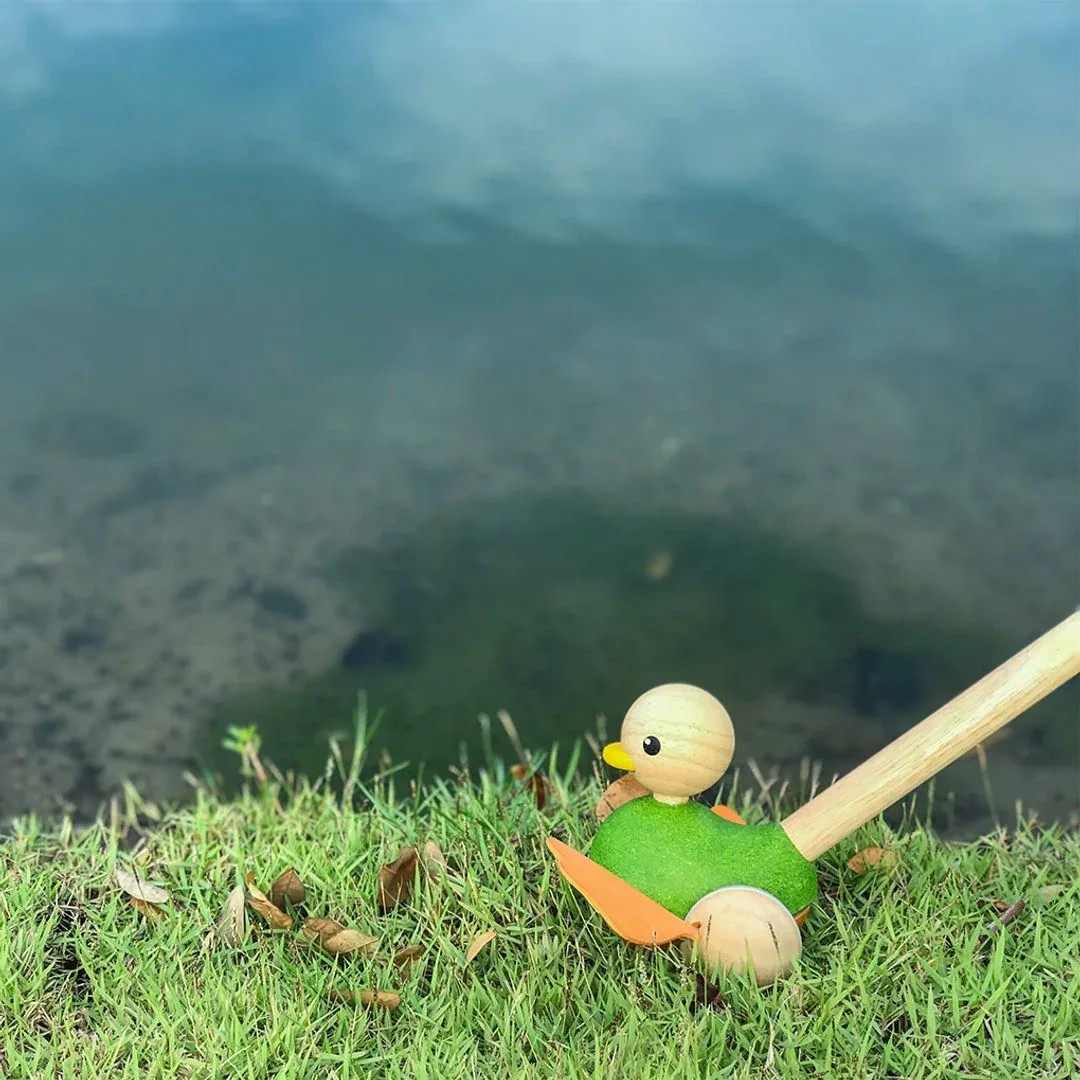 Push Along Duck - Image 3