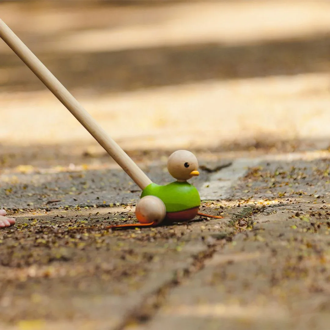 Push Along Duck - Image 4