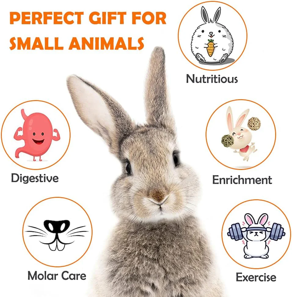 Rabbit Toys Bunny/Guinea Pig Toys Natural Timothy Hay Hamster Toys for Teeth Handmade Chews and Treats Apple Wood Sticks Chinchilla Rat - Image 5