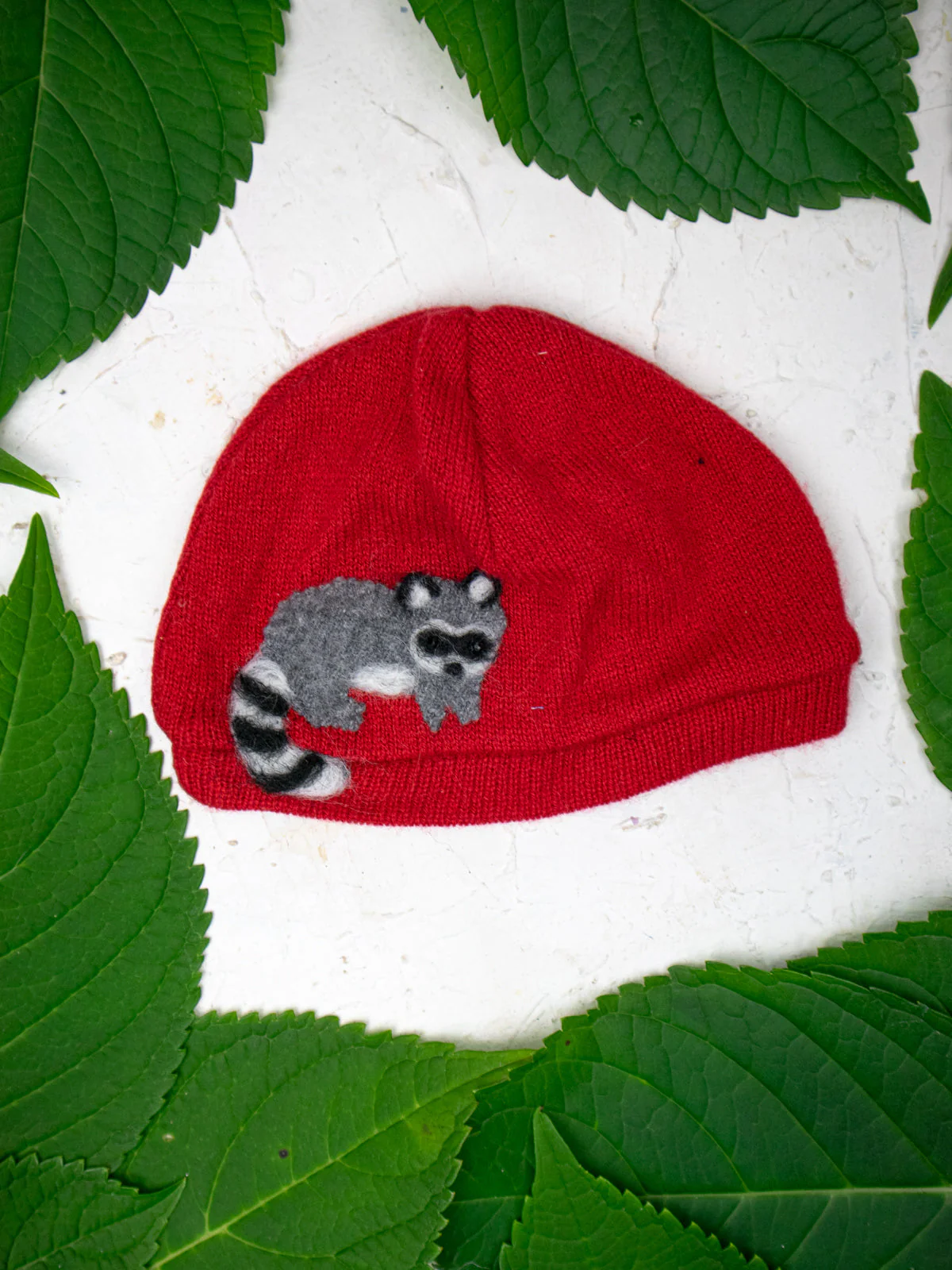 Raccoon Cashmere Hat - Baby - Image 2