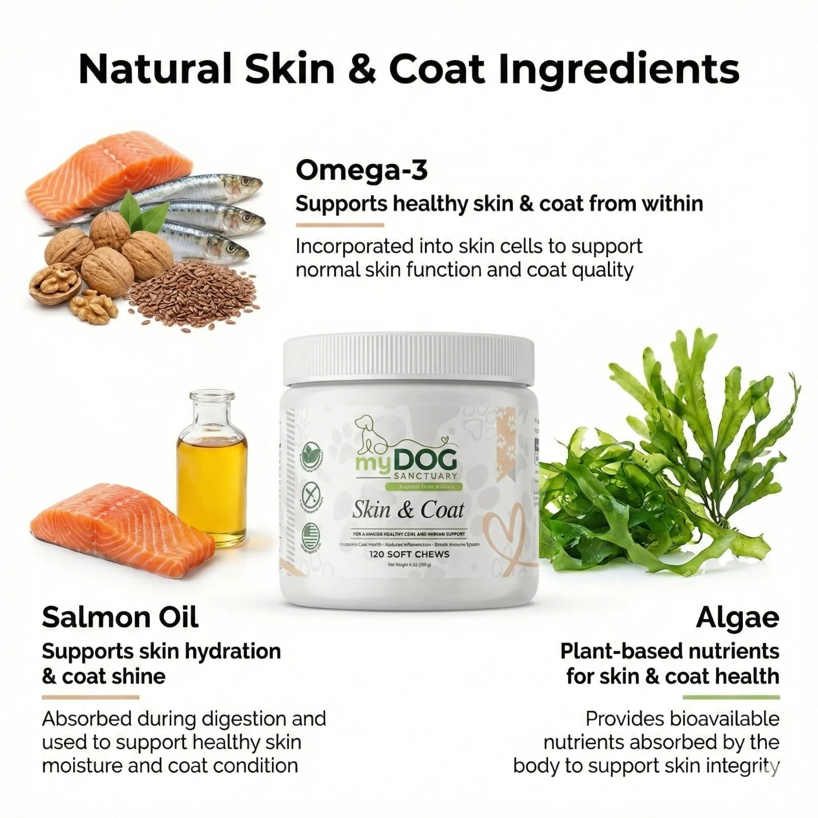 Radiant Refuge Skin & Coat Chews - Image 2