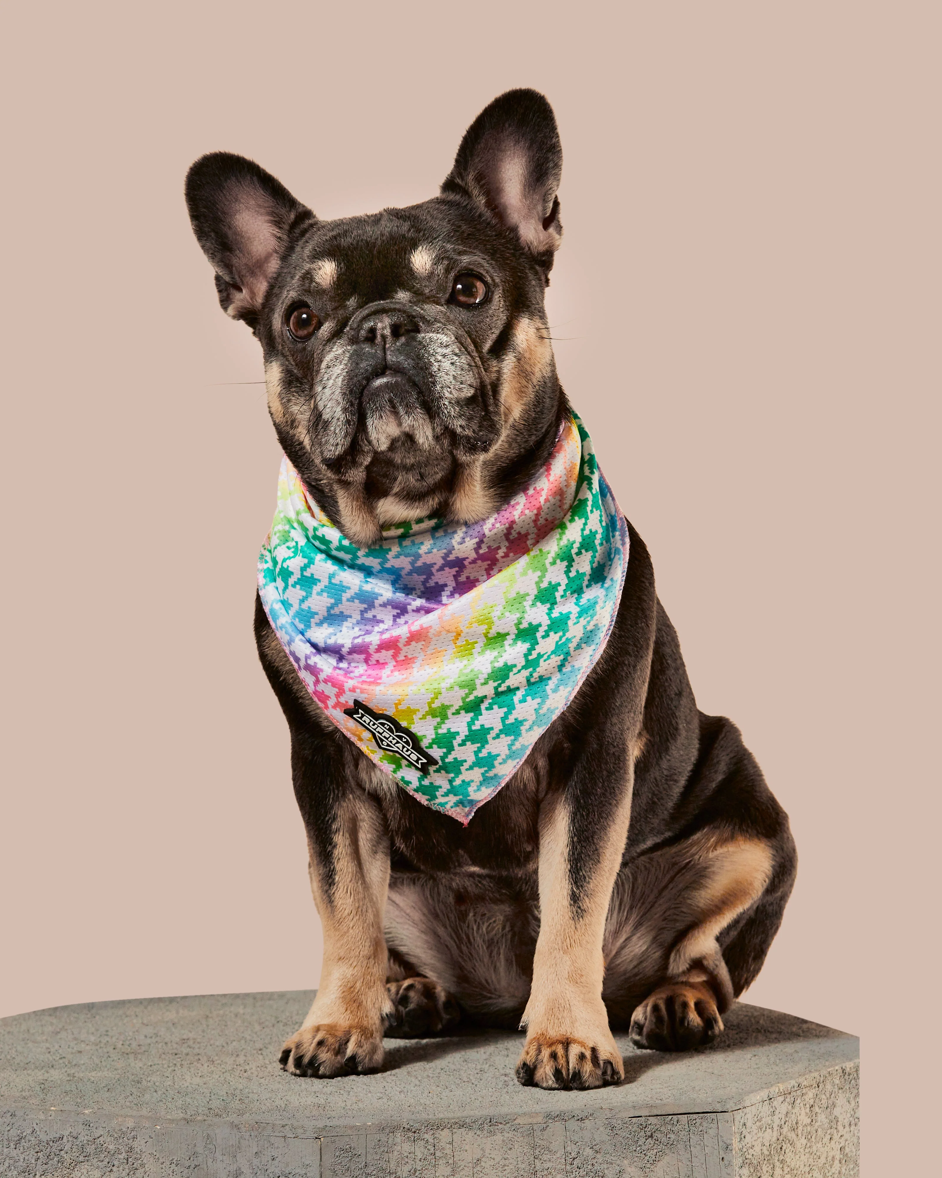 Rainbowtooth Cooling Bandana - Image 2