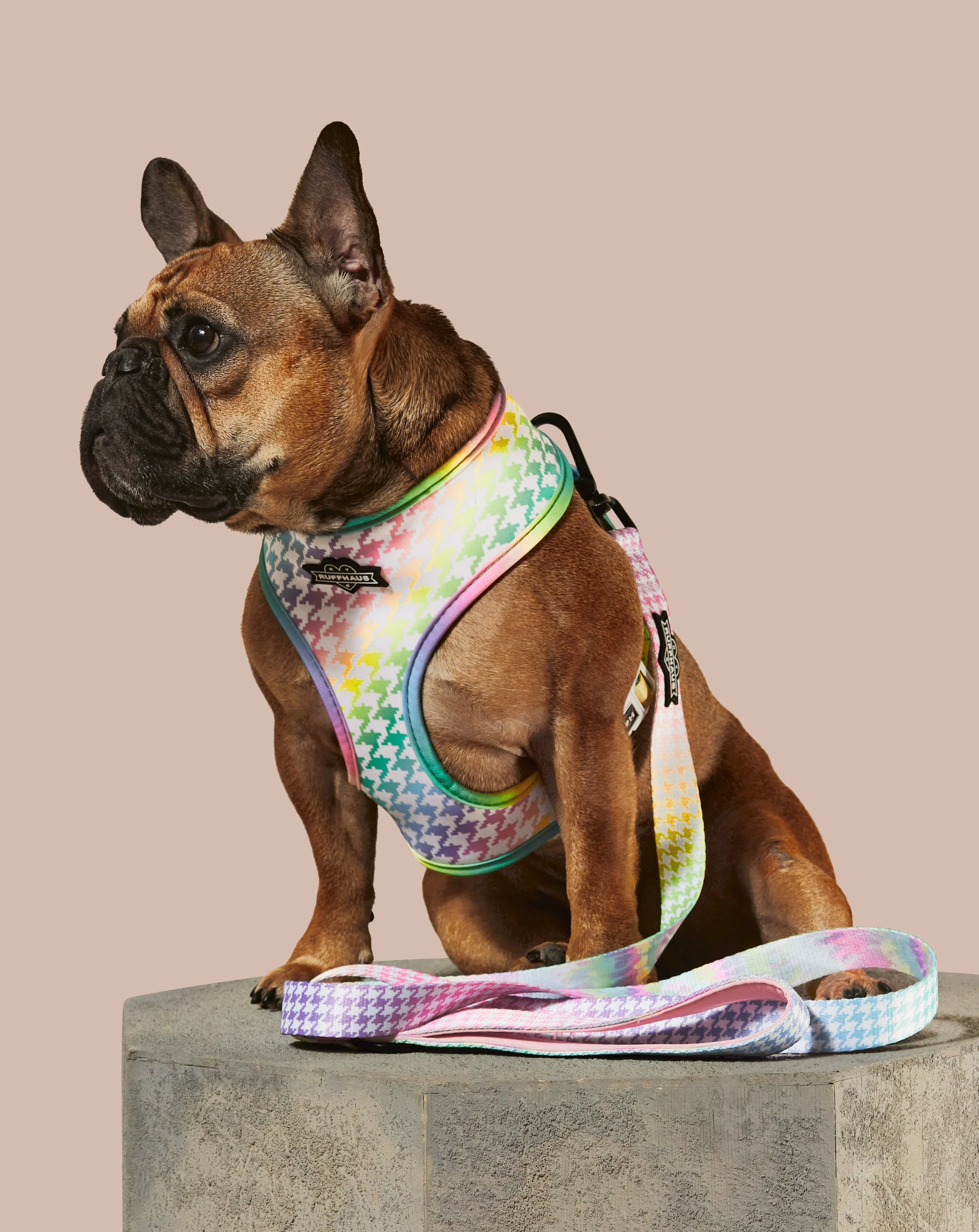 Rainbowtooth Reversible Harness - Image 4