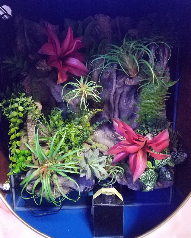 RARE AQUARIUM ITEM, CANYON VIEW EXTEND HALF CYLINDER 25 gallon. - Image 2