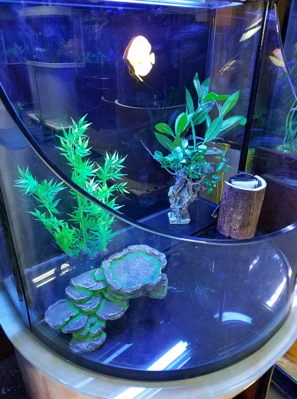 RARE AQUARIUM ITEM, CANYON VIEW EXTEND HALF CYLINDER 25 gallon. - Image 4