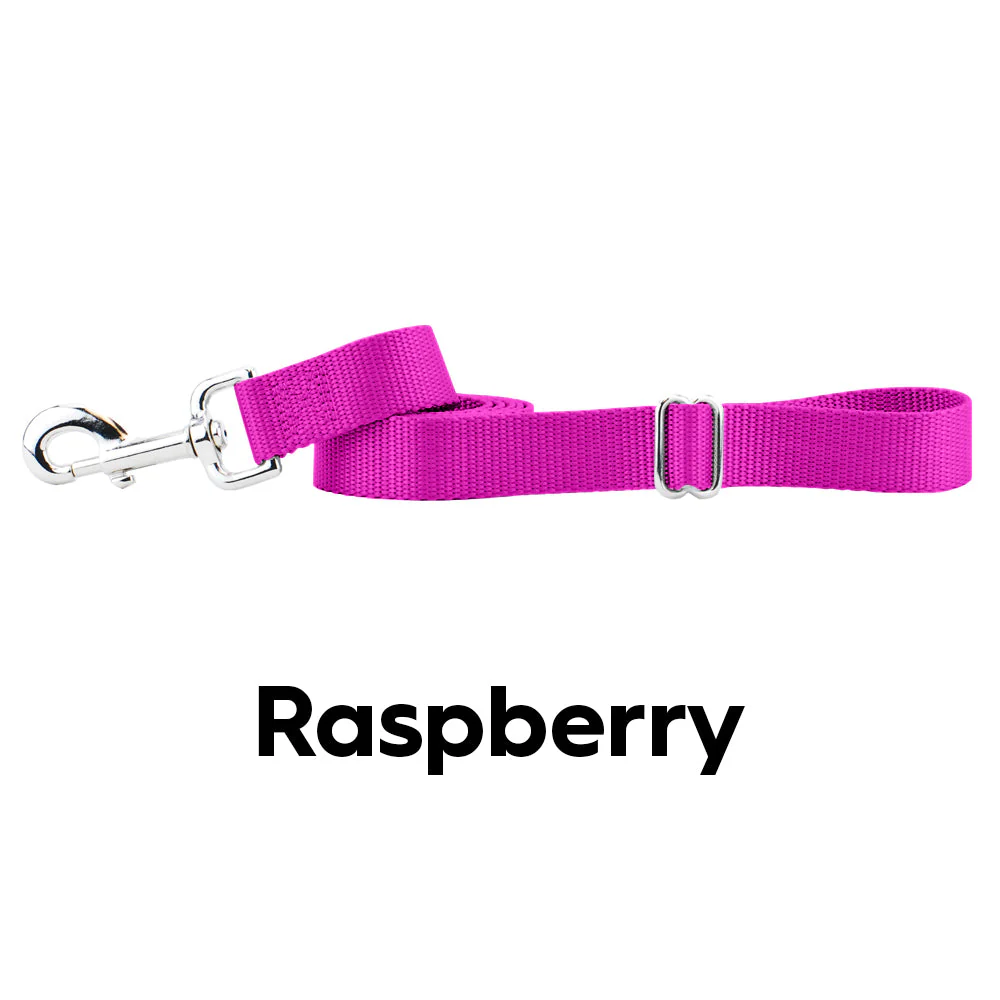 Raspberry Nylon Dog Leash - Image 2
