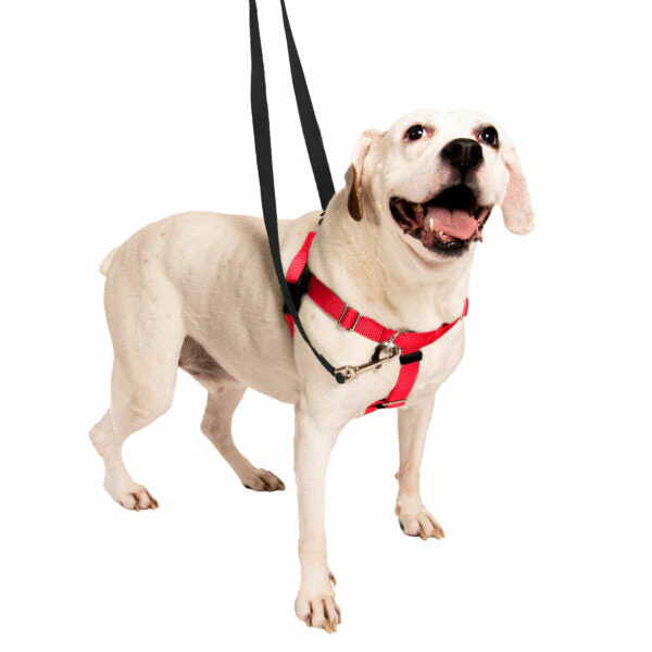 Red Freedom No-Pull Dog Harness - Image 9
