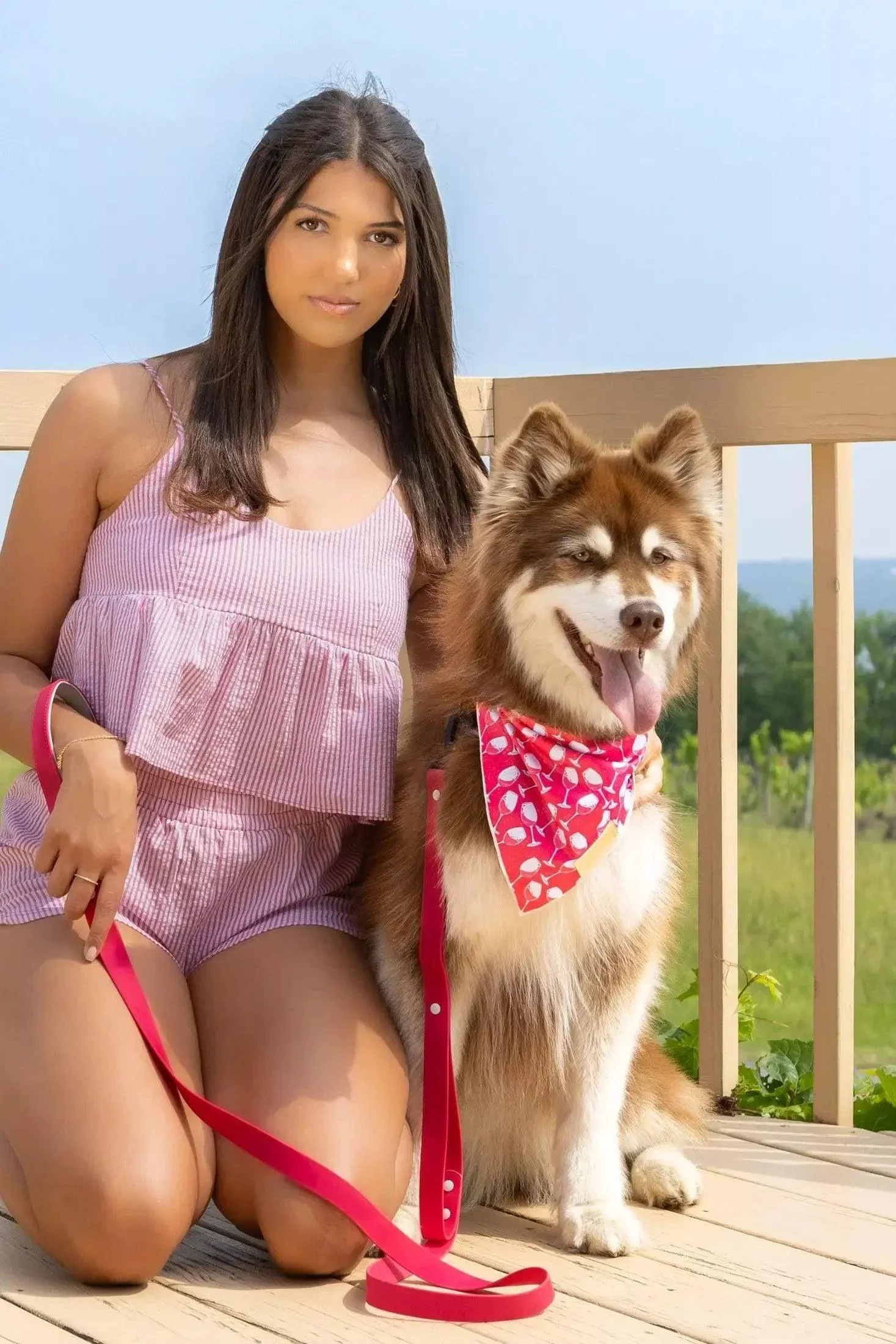 Red Mountain Syrah Dog Bandana - Image 3