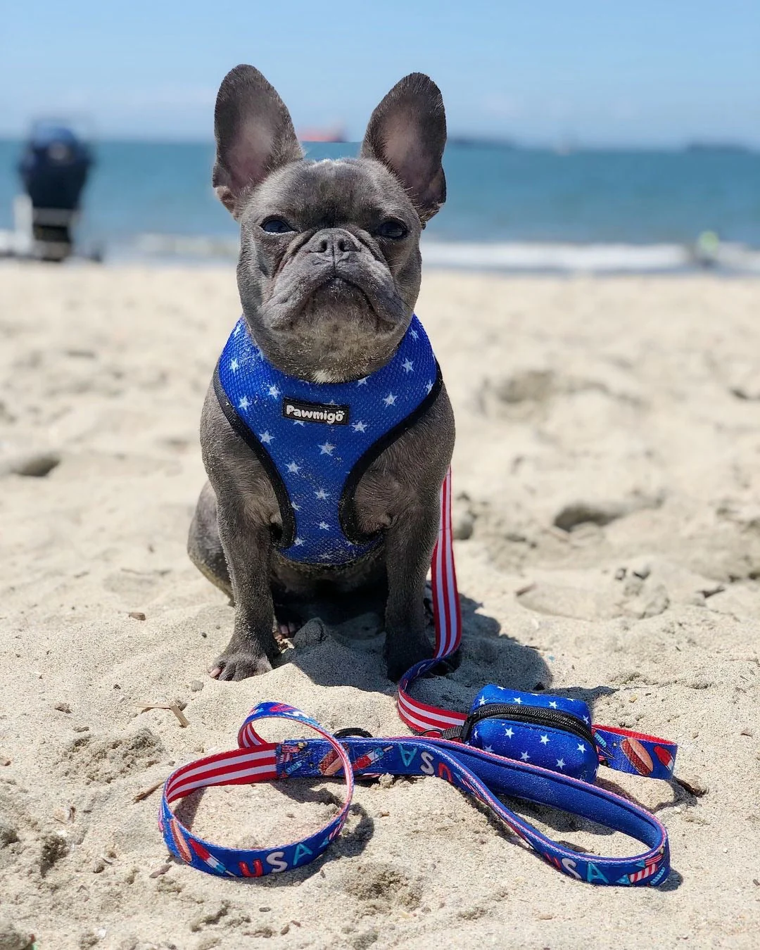 Red, White & Bark Leash Kit - Image 2