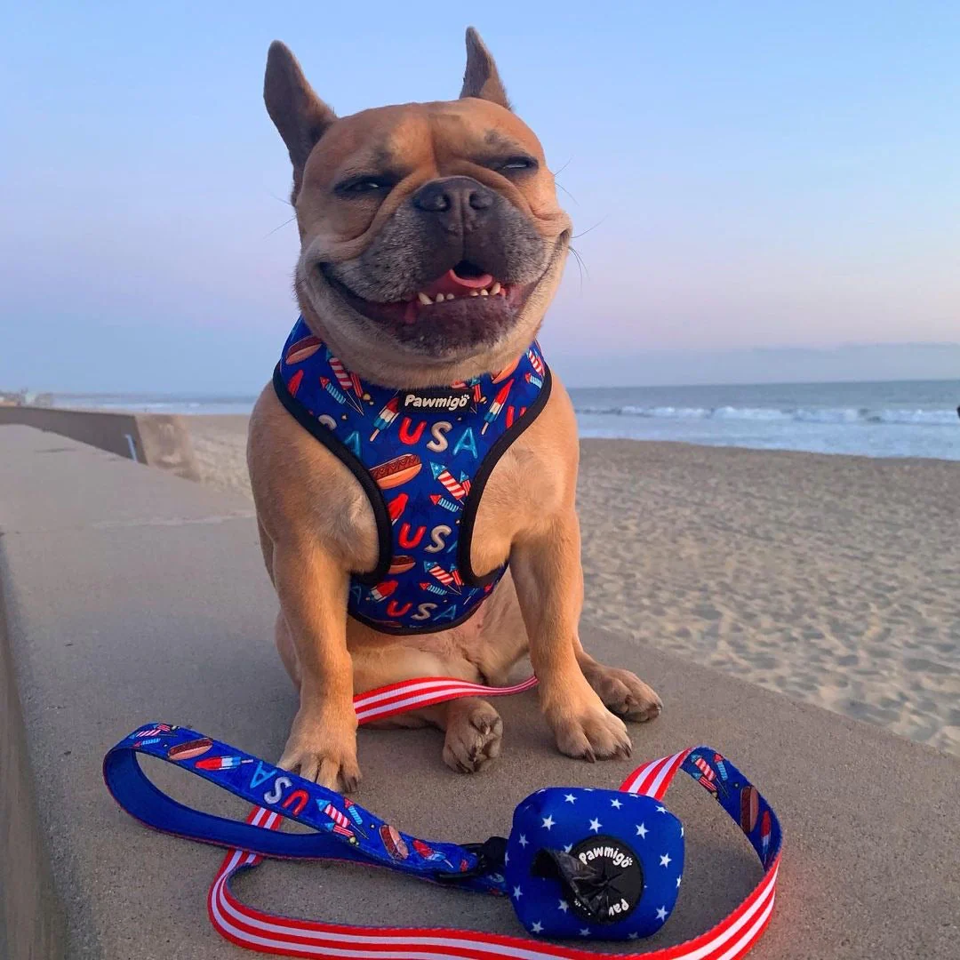 Red, White & Bark Leash Kit - Image 4