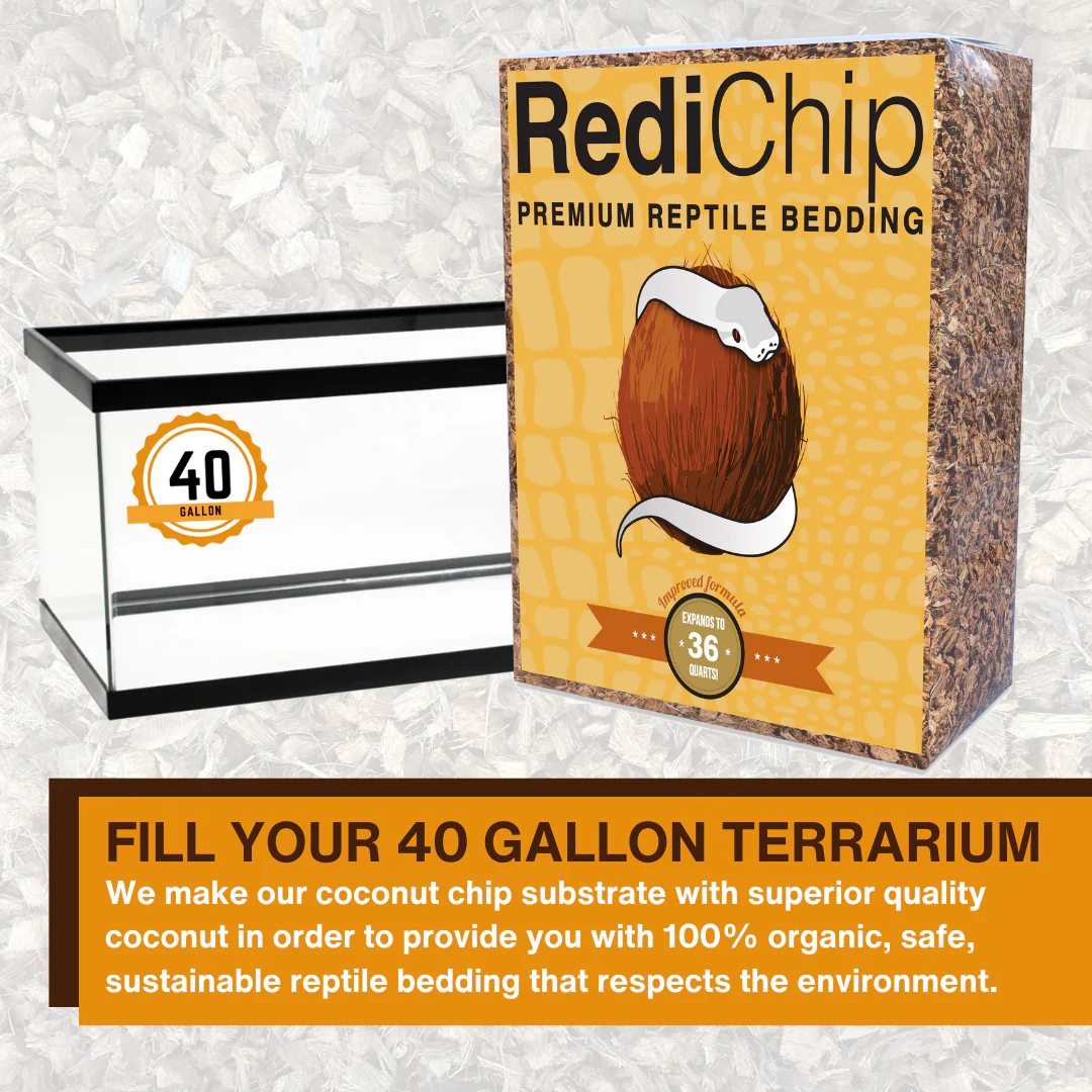 RediChip Premium Medium Sized Coconut Chips; Ready to Use - Image 5
