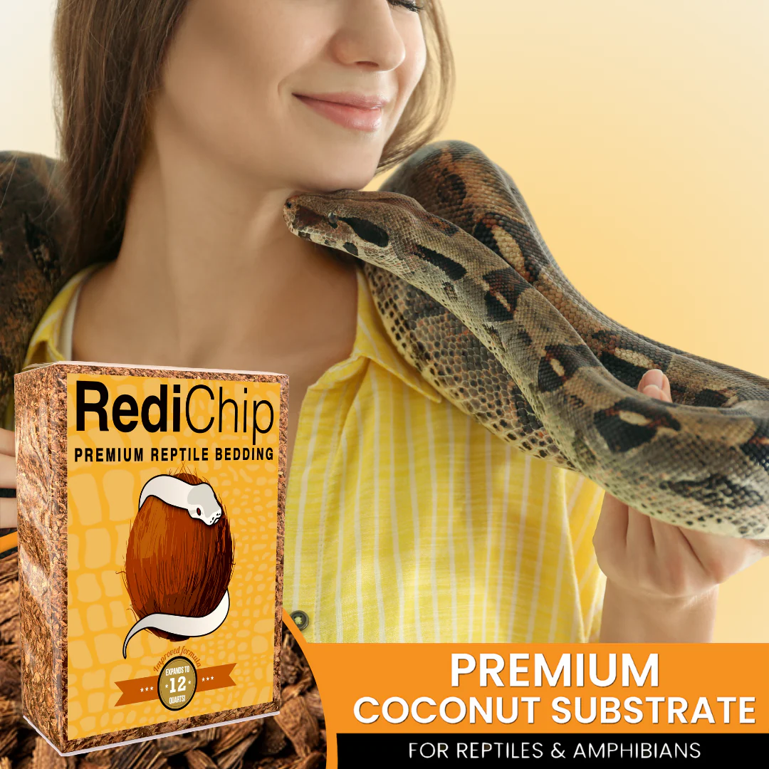 RediChip Premium Medium Sized Coconut Chips; Ready to Use - Image 7